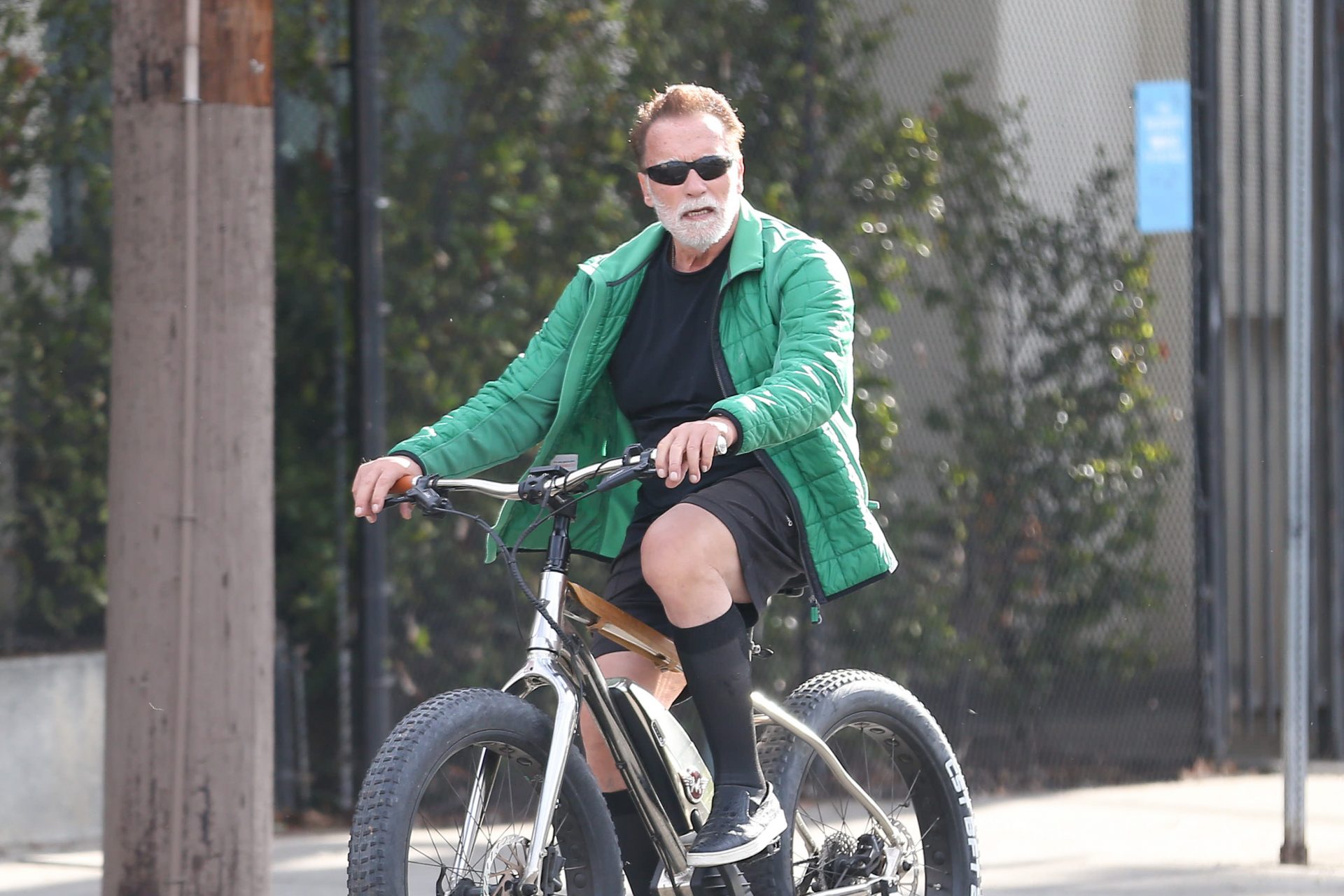 2. Arnold Schwarzenegger