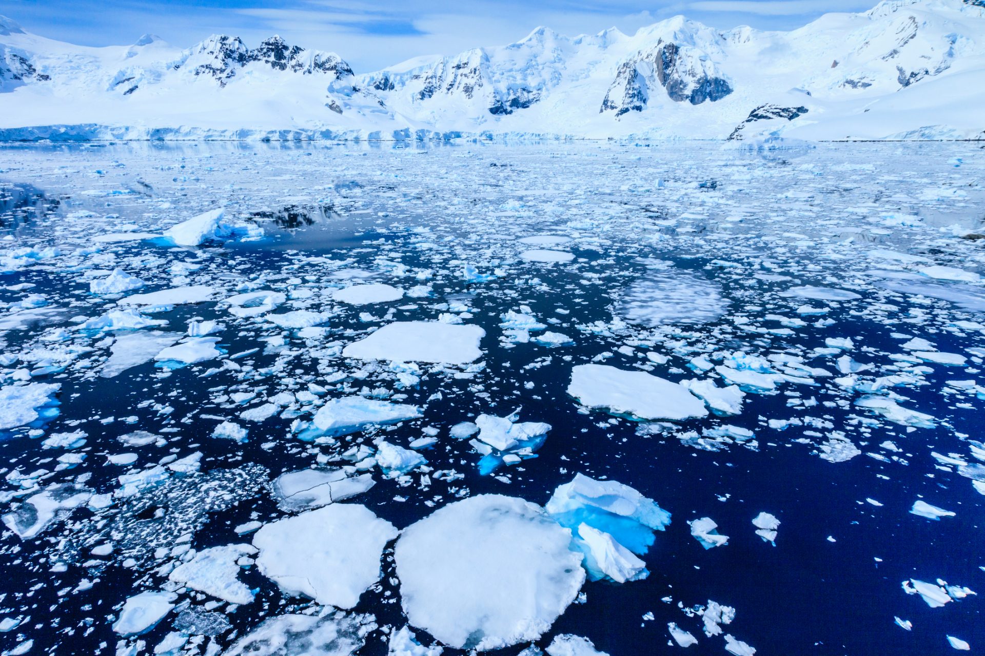 Une région arctique sans glace est inévitable 