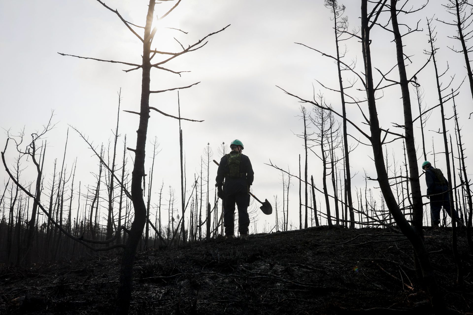 Canada is living through a record-breaking fire season