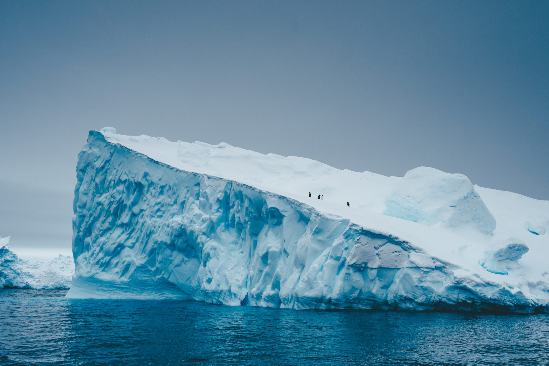 Antarctica’s ice shelves are also hurting 