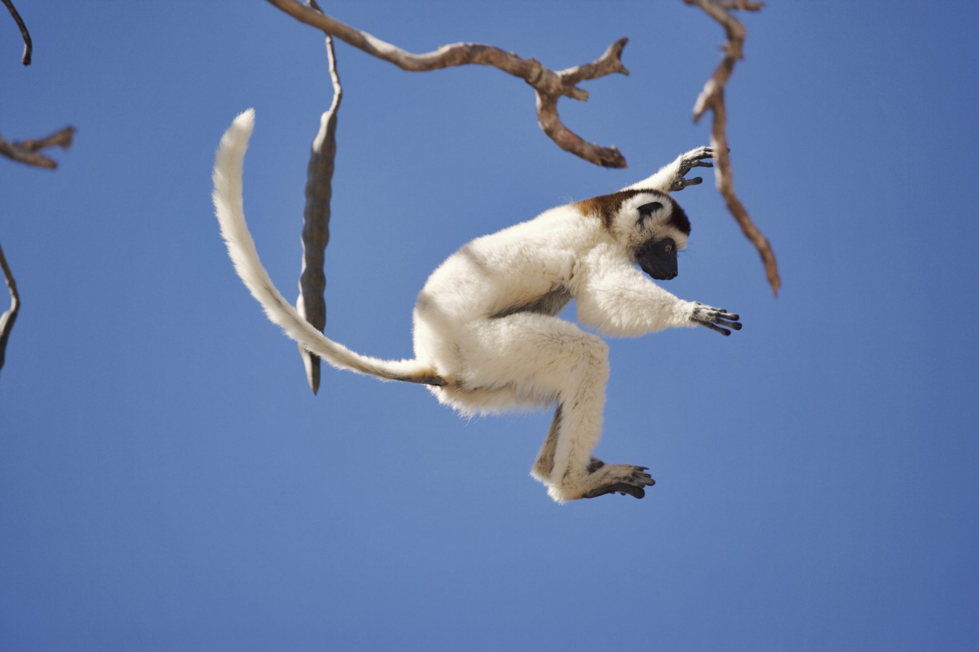 In Madagascar