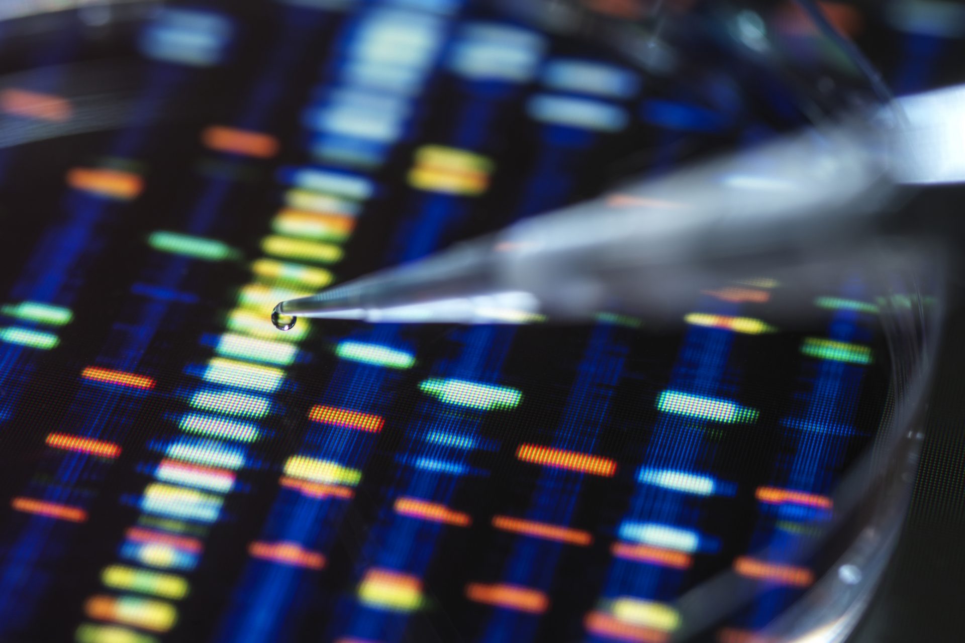 Secuenciando el genoma humano