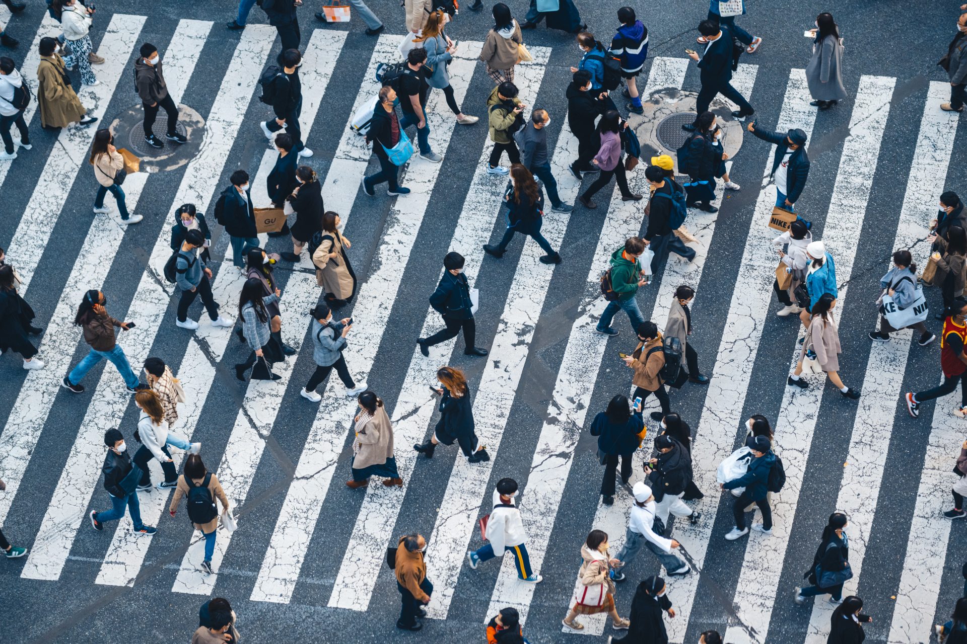 La humanidad en cifras