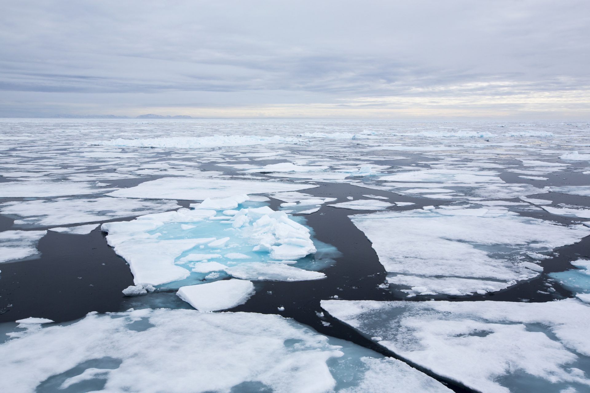 The Arctic might be iceless a lot sooner than scientists thought