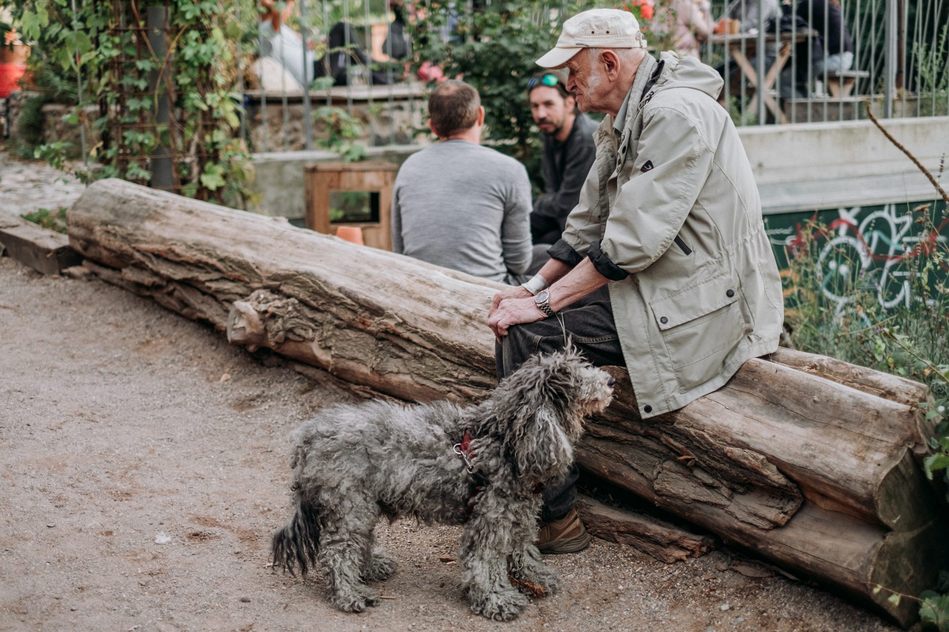 10) Ein Menschenjahr entspricht sieben Hundejahren