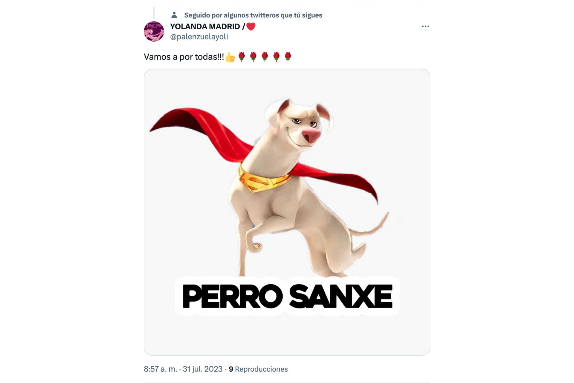 Perro Sanxe (literal)