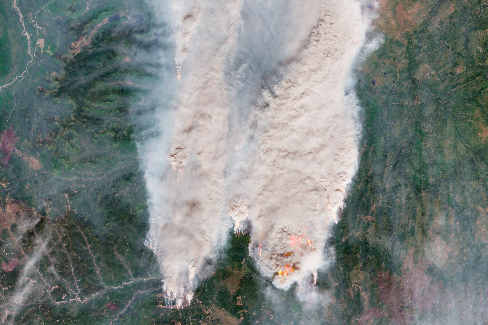 The Donnie Creek Wildfire 