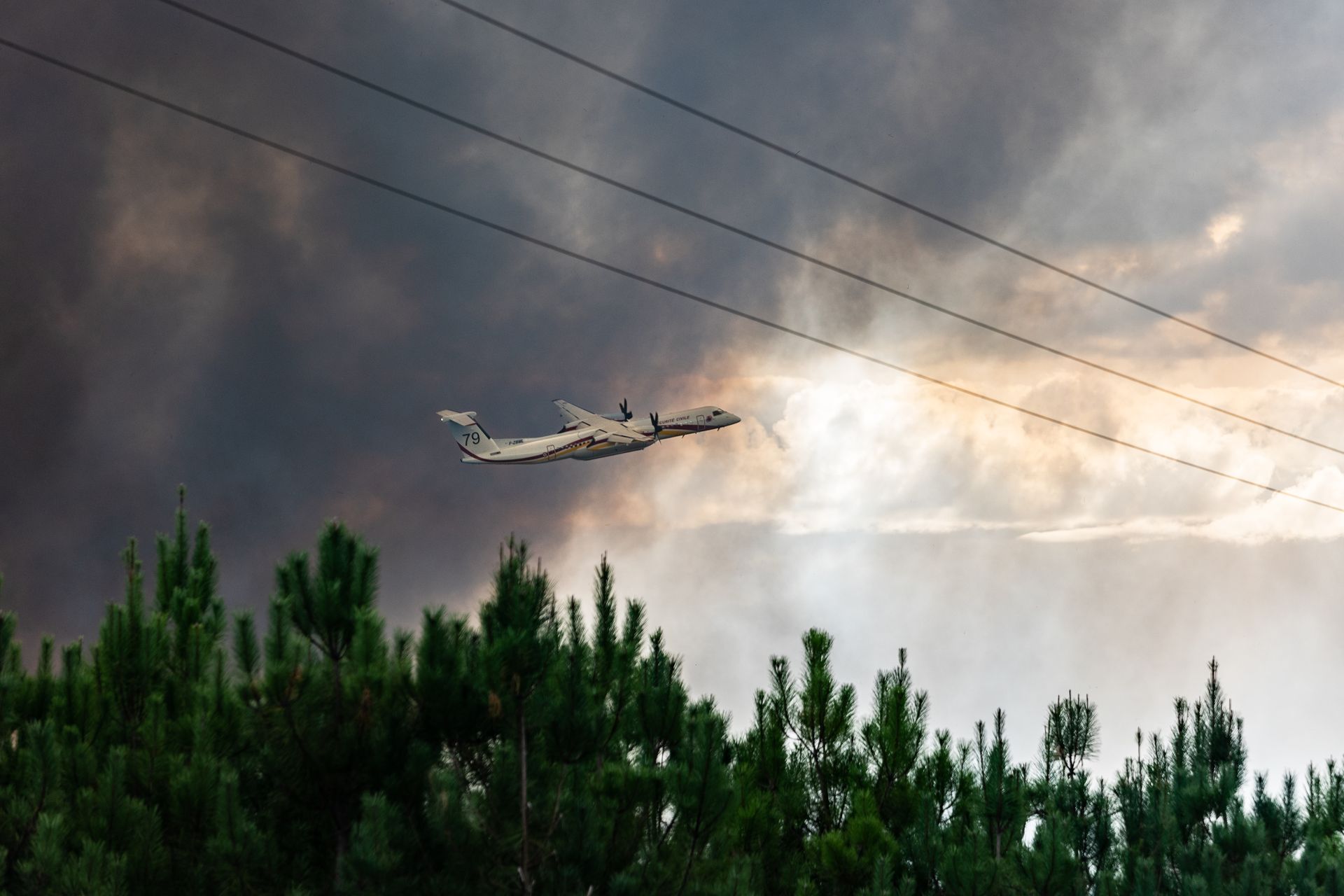 Les conséquences du réchauffement climatique