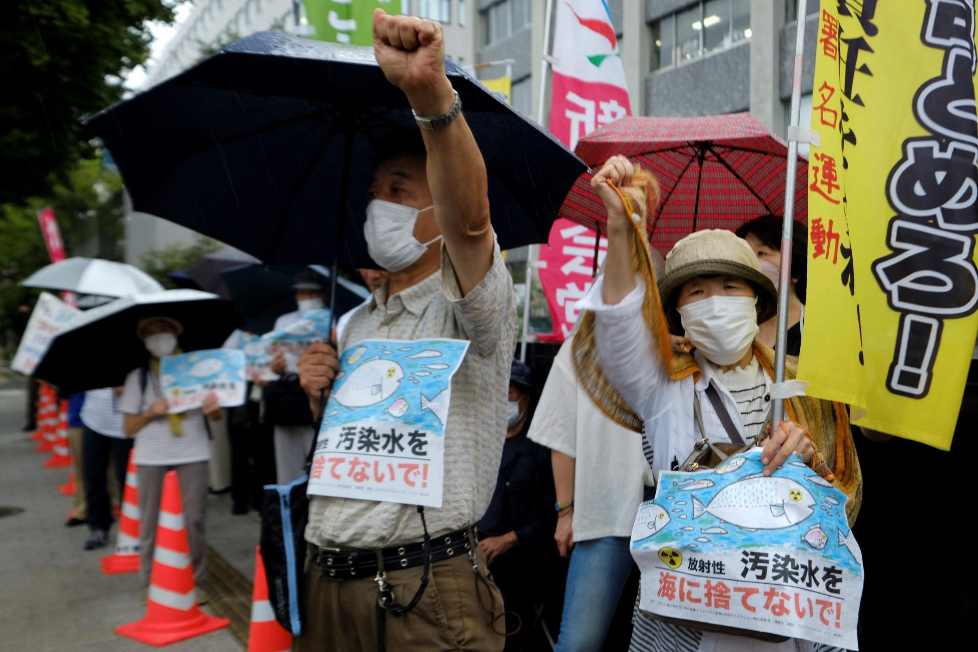 Japanese protests