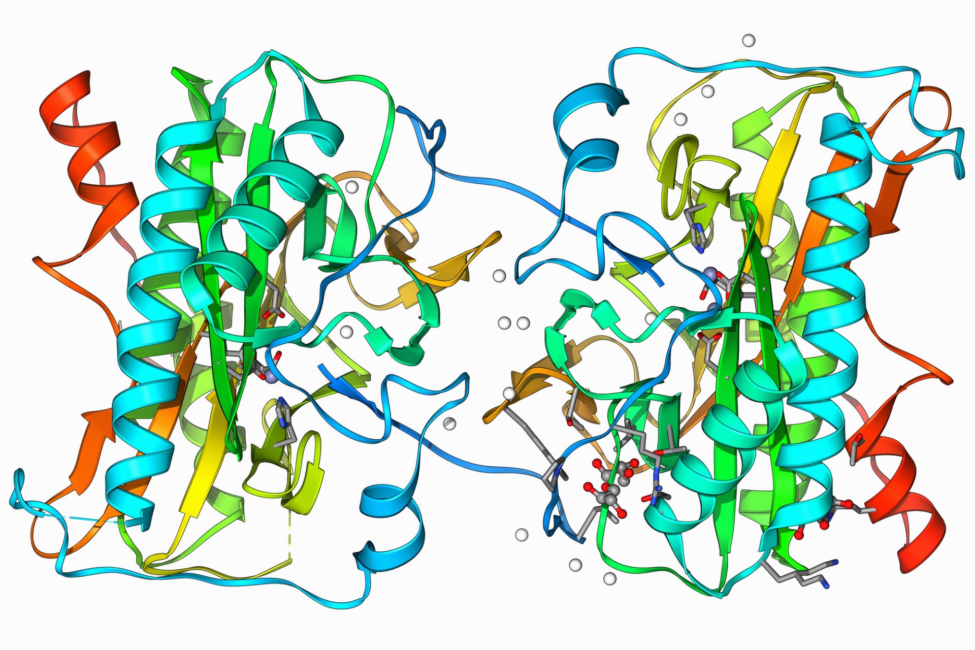 Repeated wet-dry cycles 