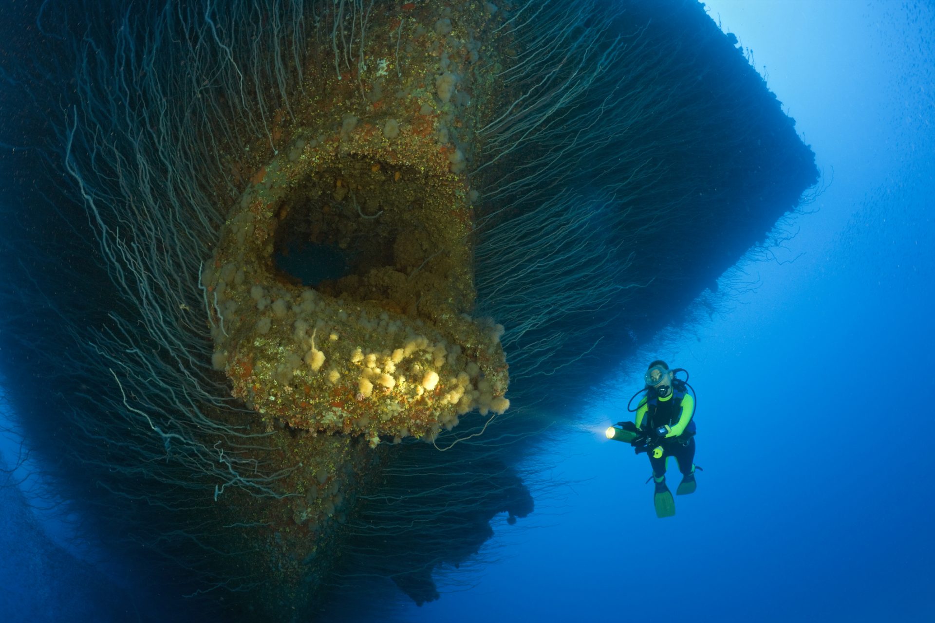 No oceano profundo