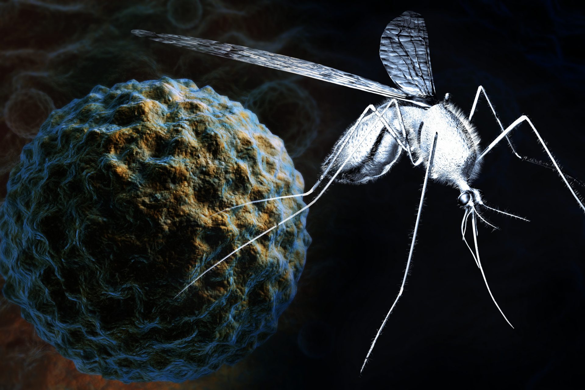 CDC official warns mosquitos carrying West Nile Virus are becoming resistant to insecticide