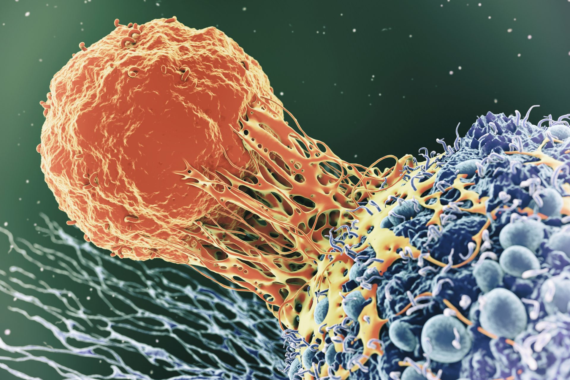 Destroying cancer tumors 