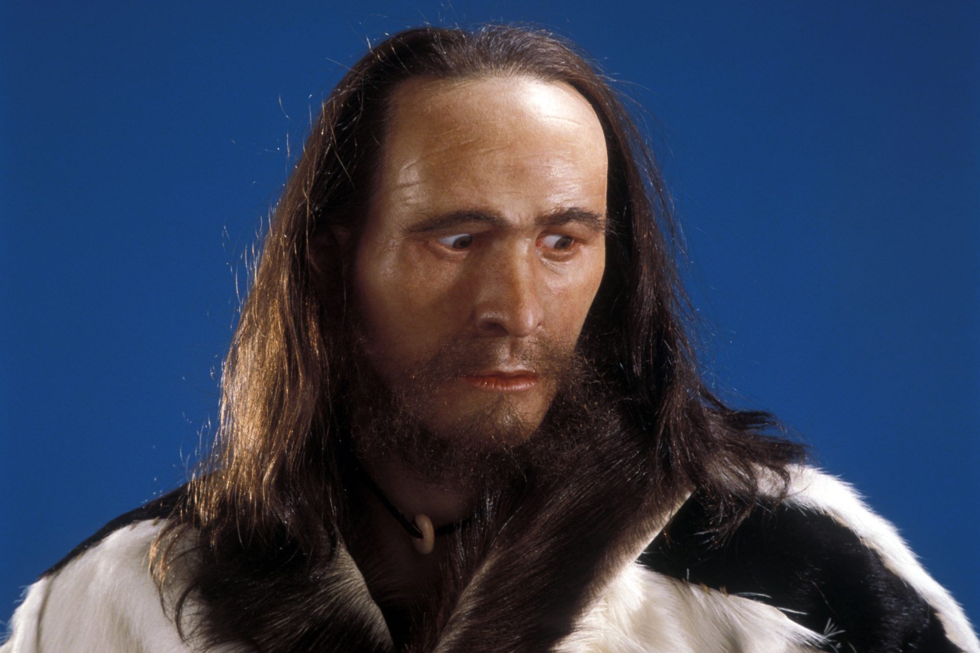 New DNA analysis shows Ötzi the Iceman was dark-skinned and balding
