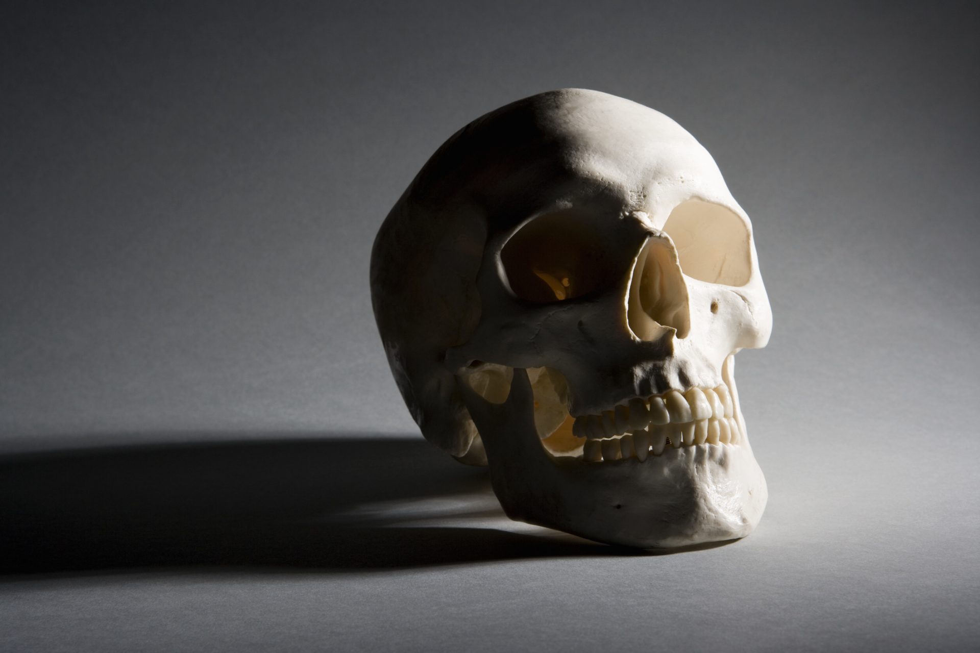 This Japanese ancient civilization intentionally reshaped their skulls
