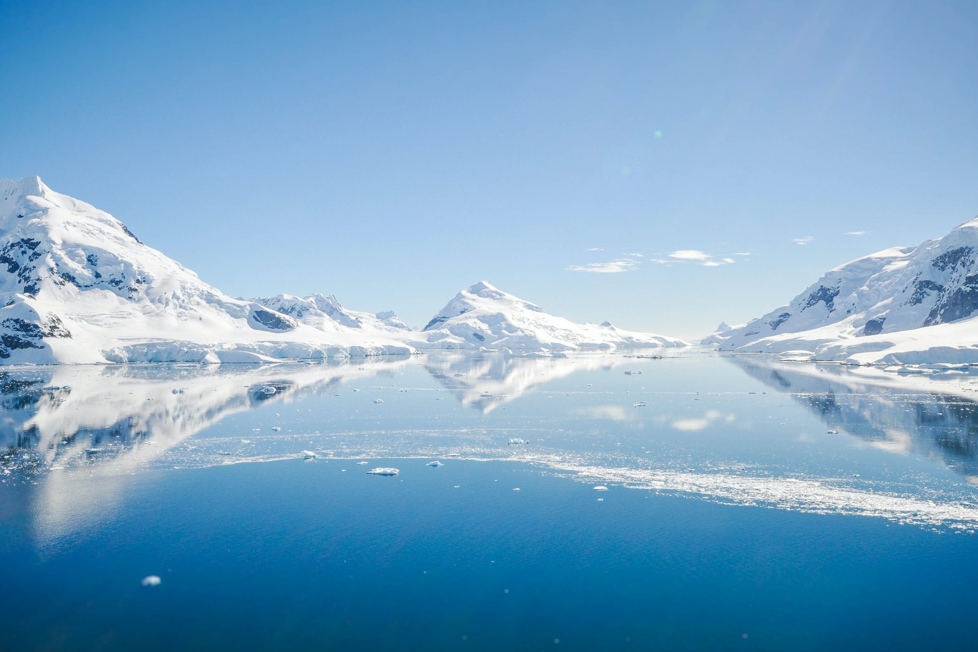 Profusion of life in the Antarctic waters 