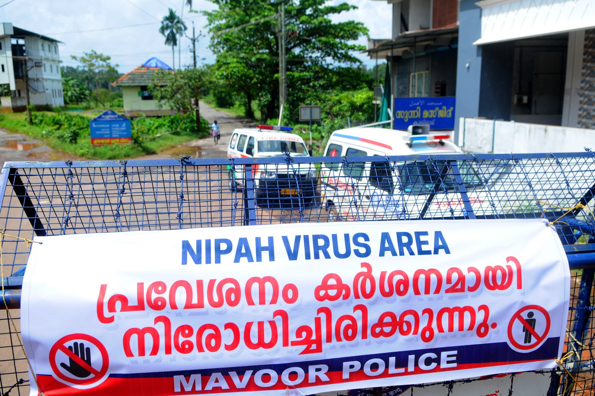 Nipah-Virus (NiV)