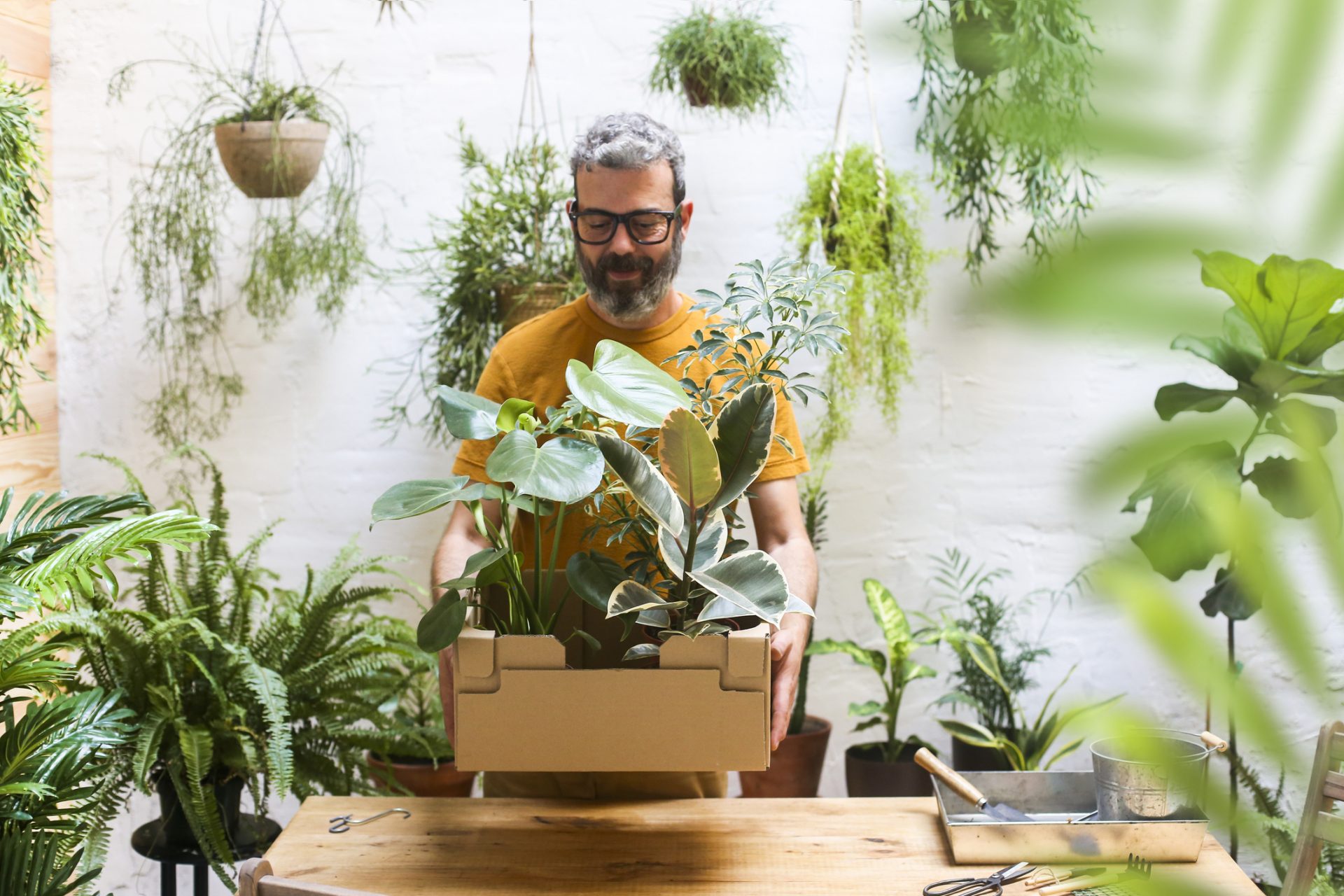 Are your houseplants actually environmentally friendly?