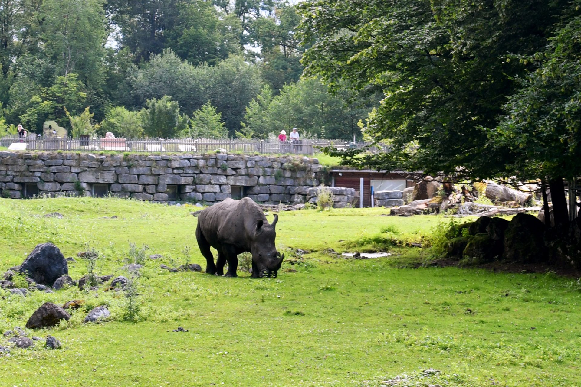 Weiterer Tierpfleger schwer verletzt