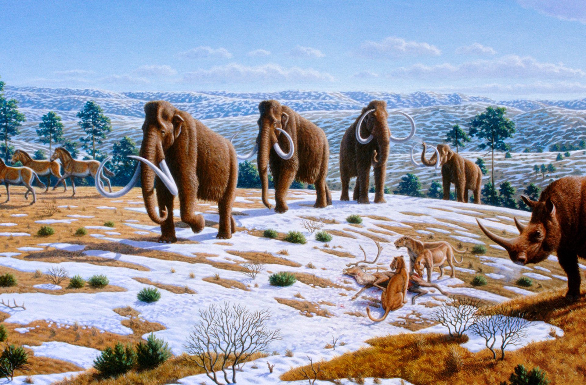 The Middle to Late Pleistocene epoch
