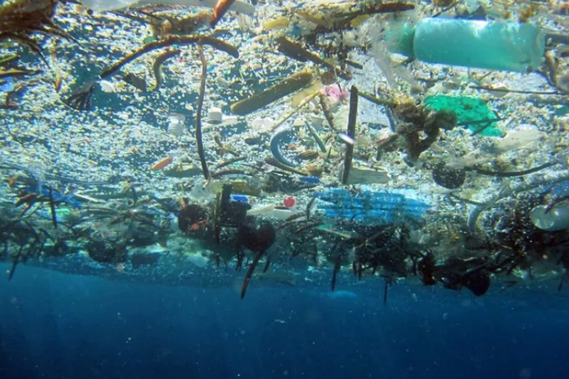 The North Pacific Garbage Patch