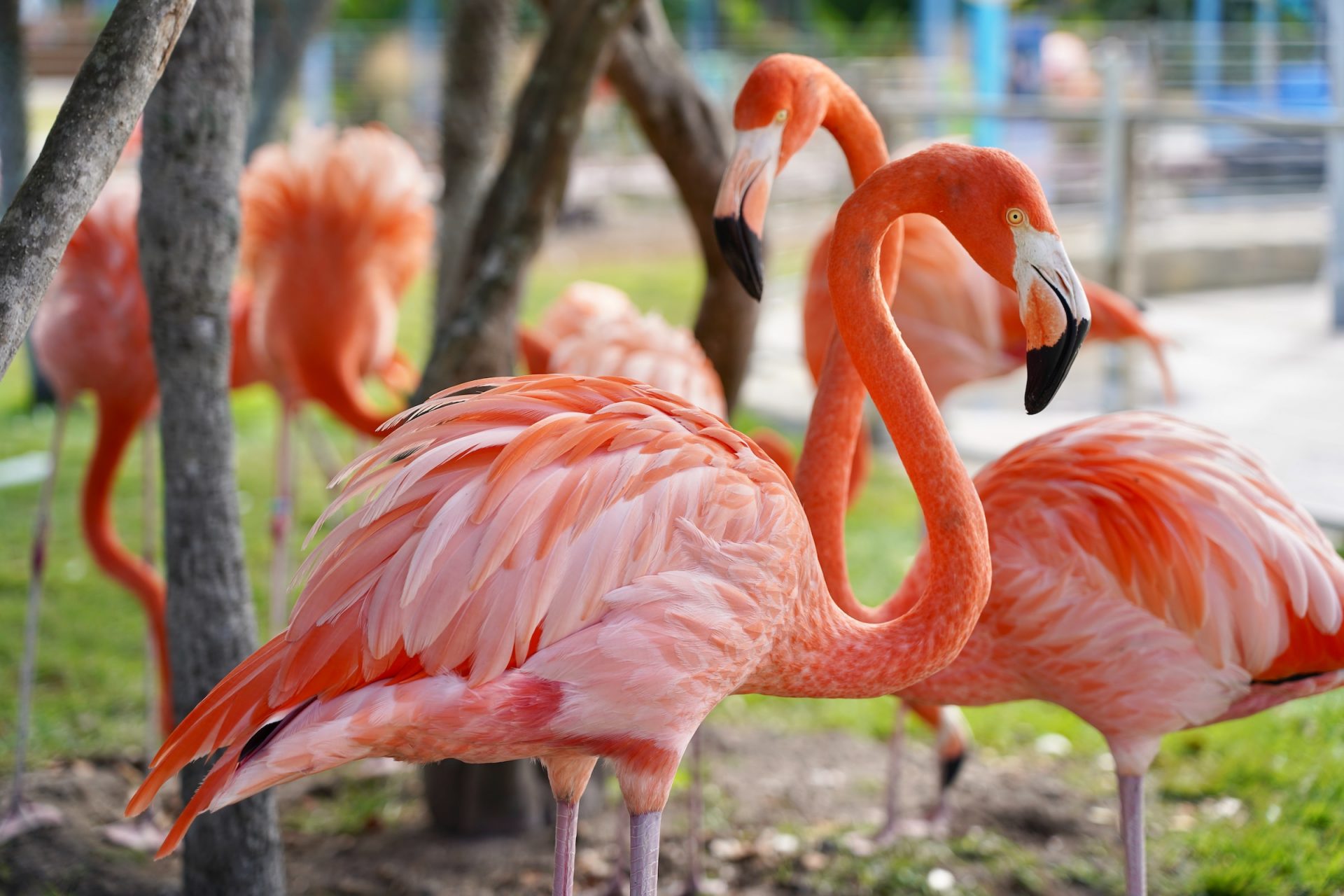 動物園