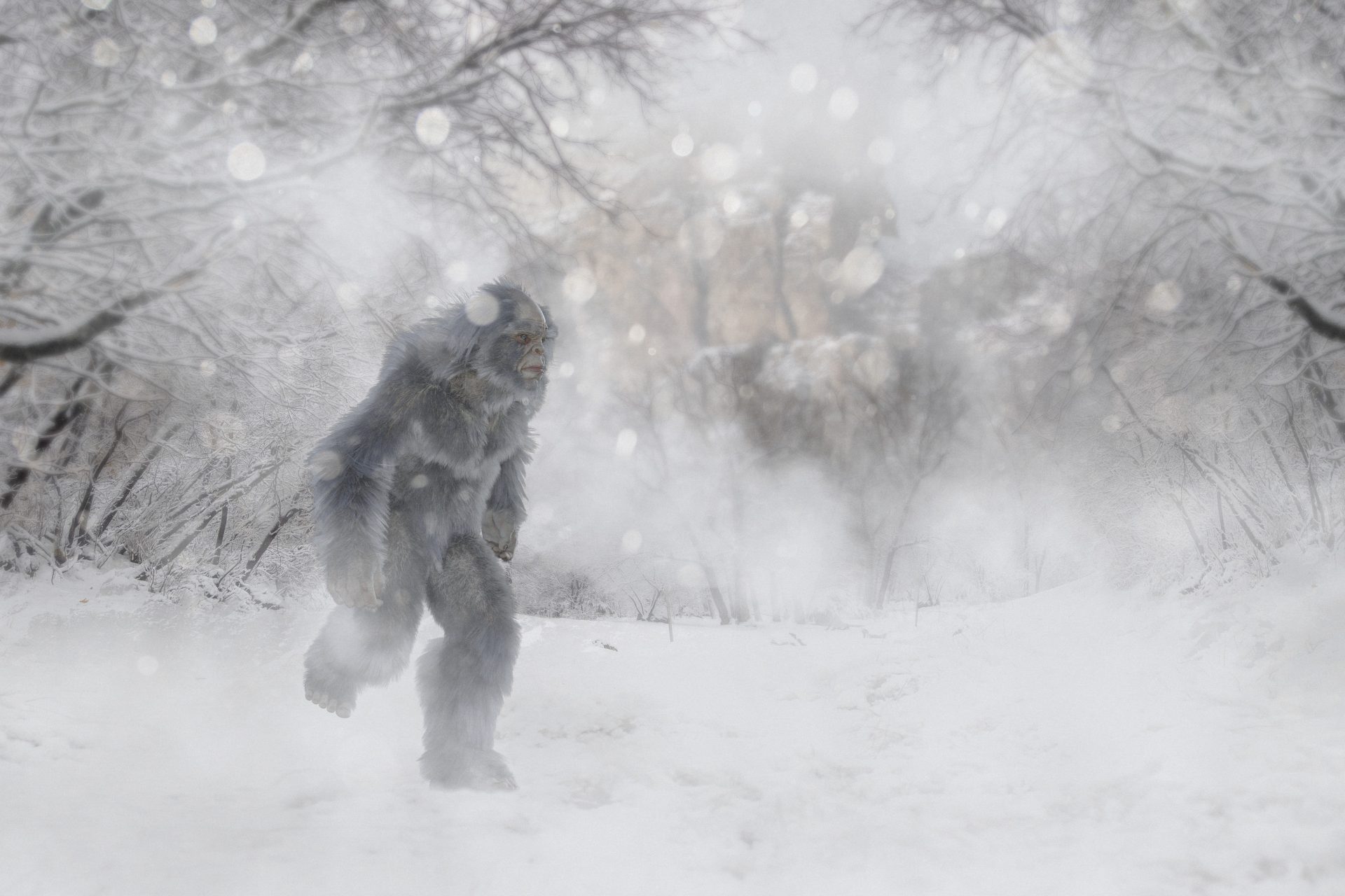 Yeti: el abobinable hombre de las nieves