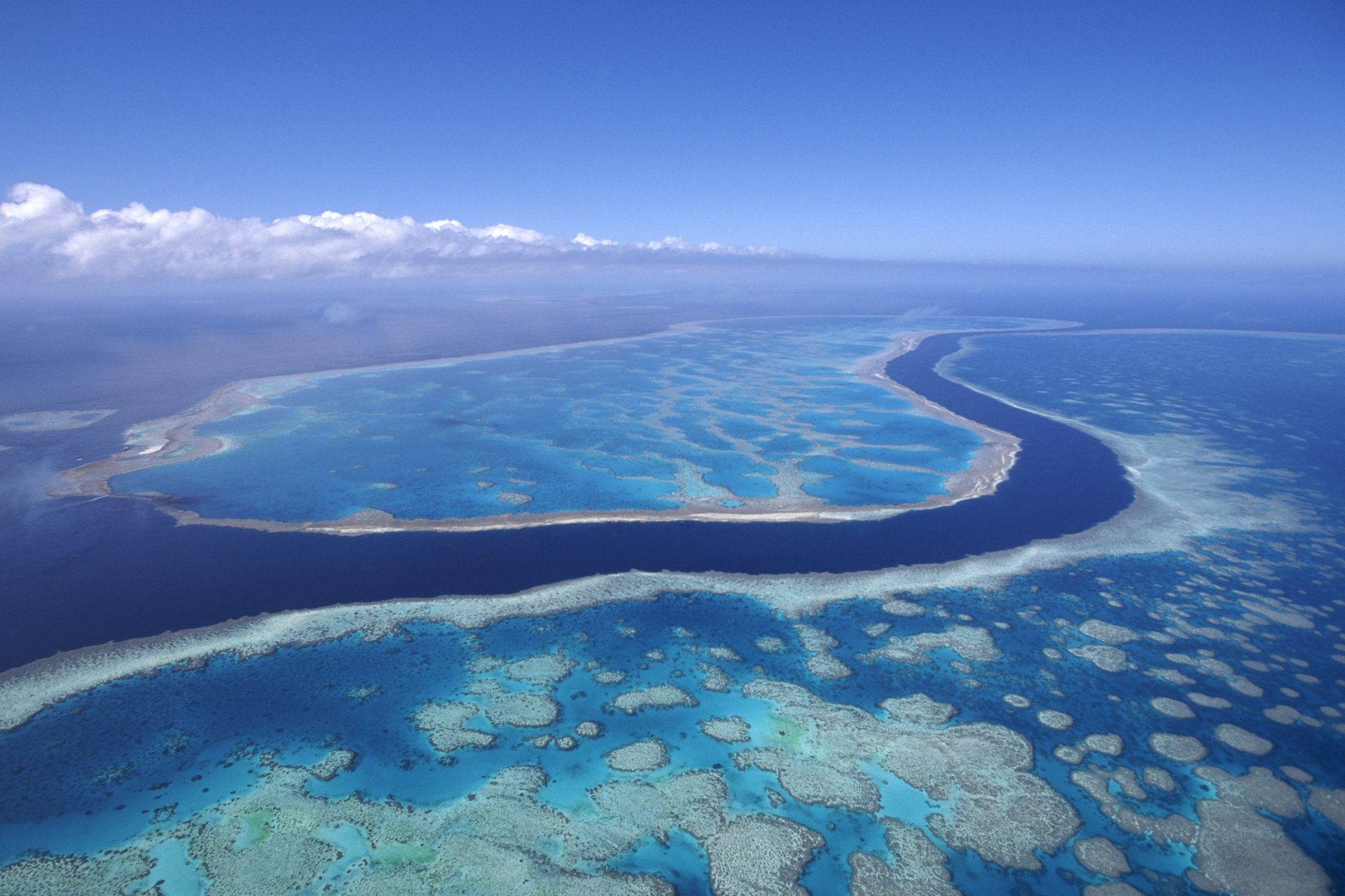 La Gran Barrera de Coral