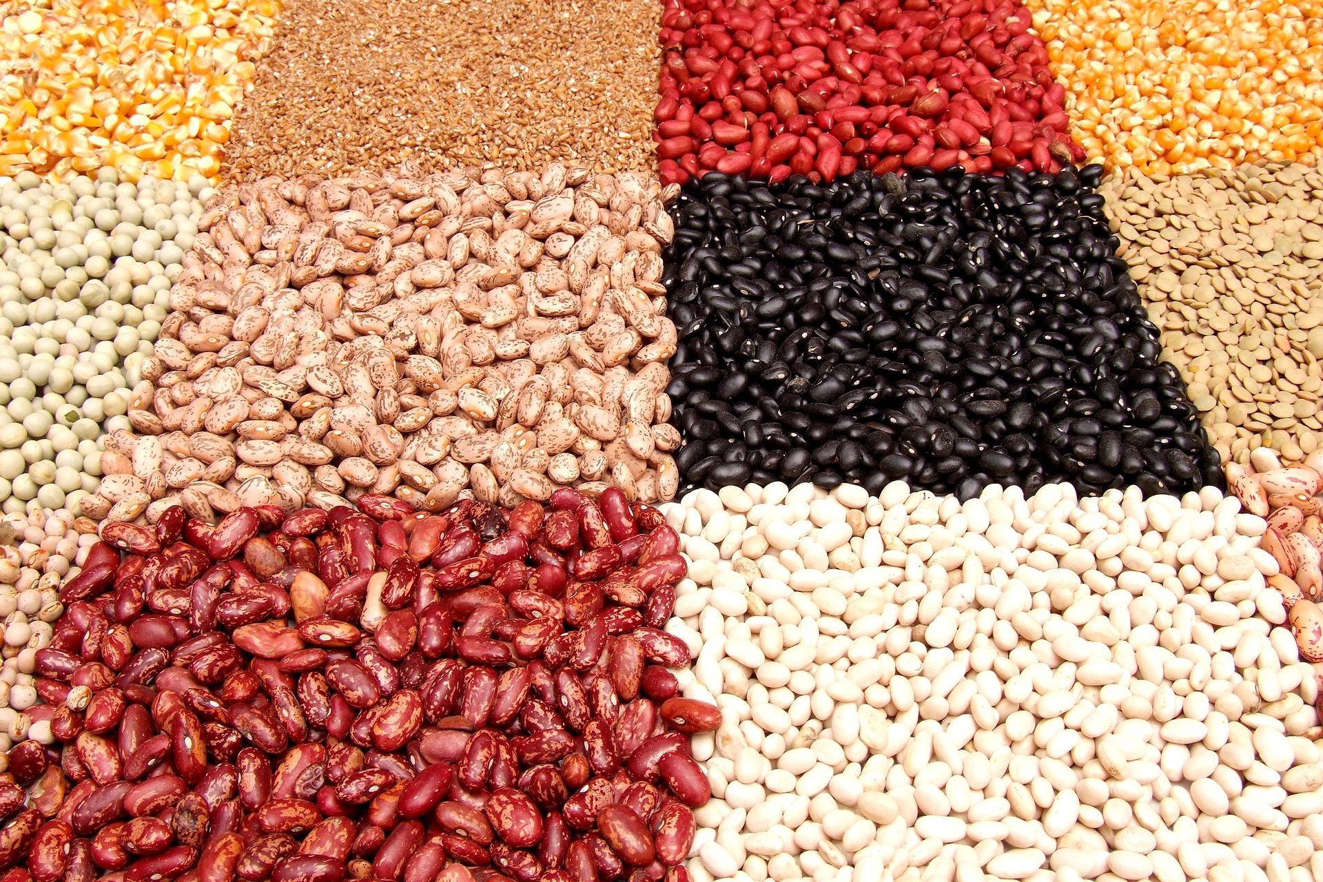 Quantities of cereals and legumes refer to the dry product