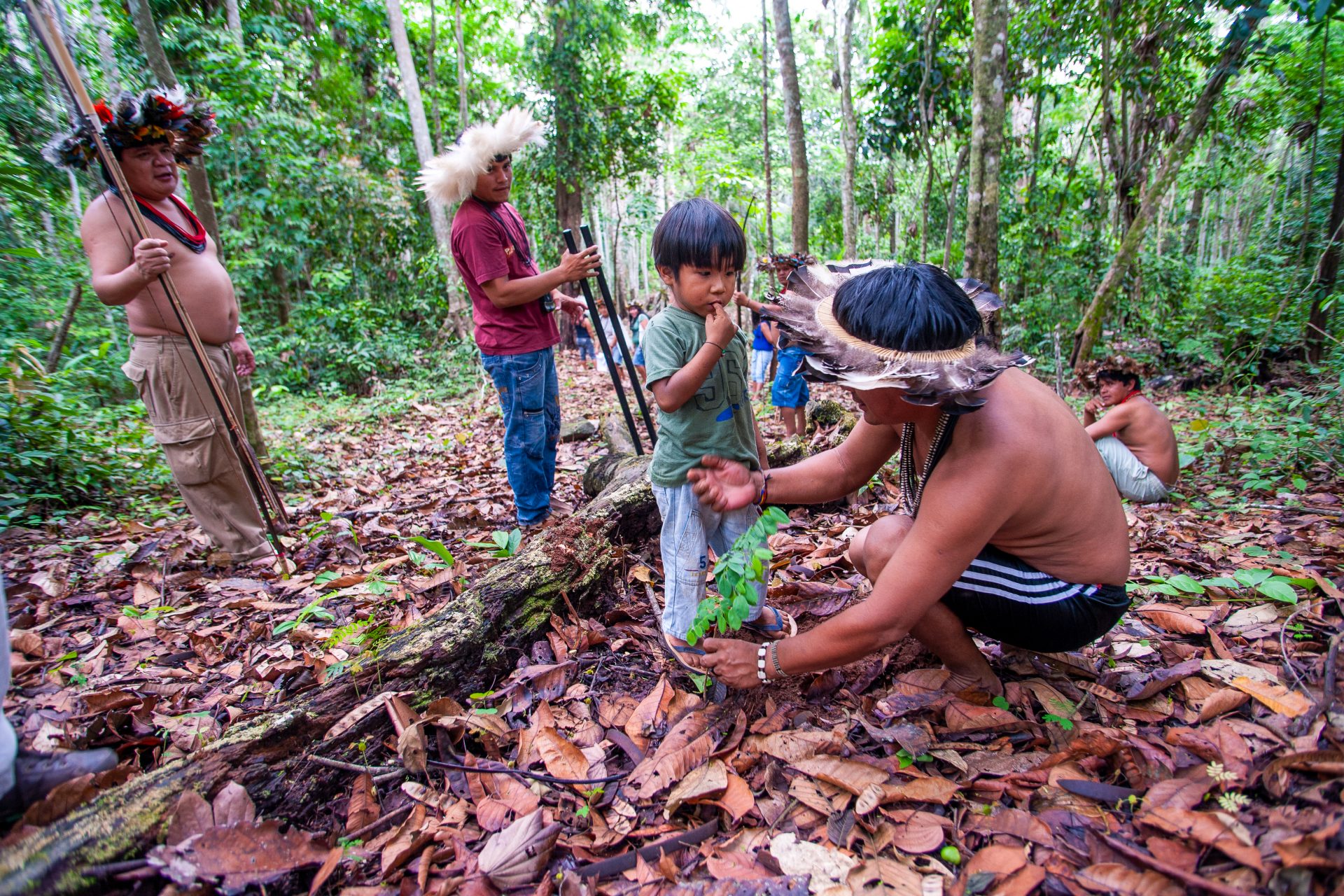 #6 : Forte amélioration de la déforestation en Amazonie 
