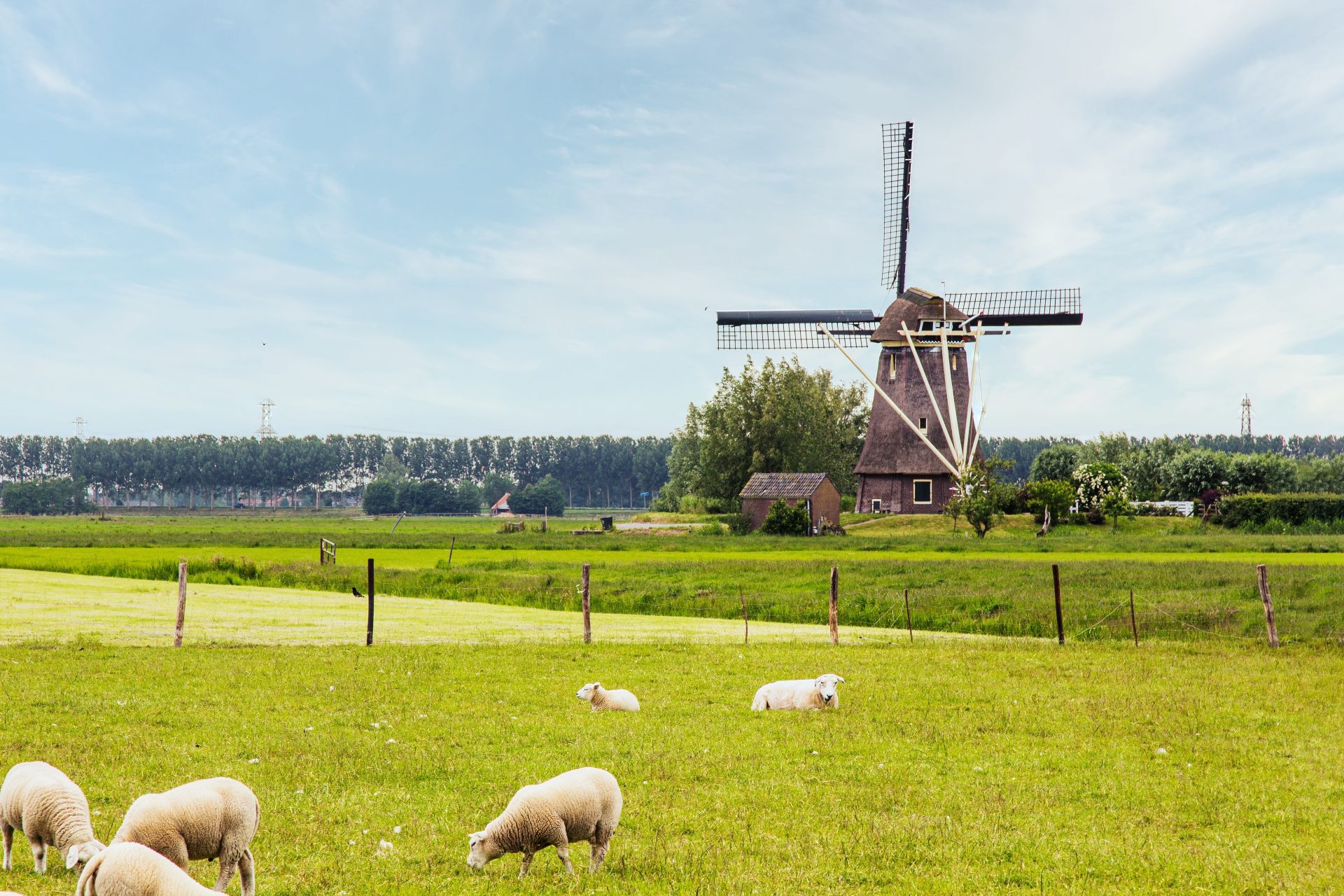 Discussie over vrije dagen gaat door