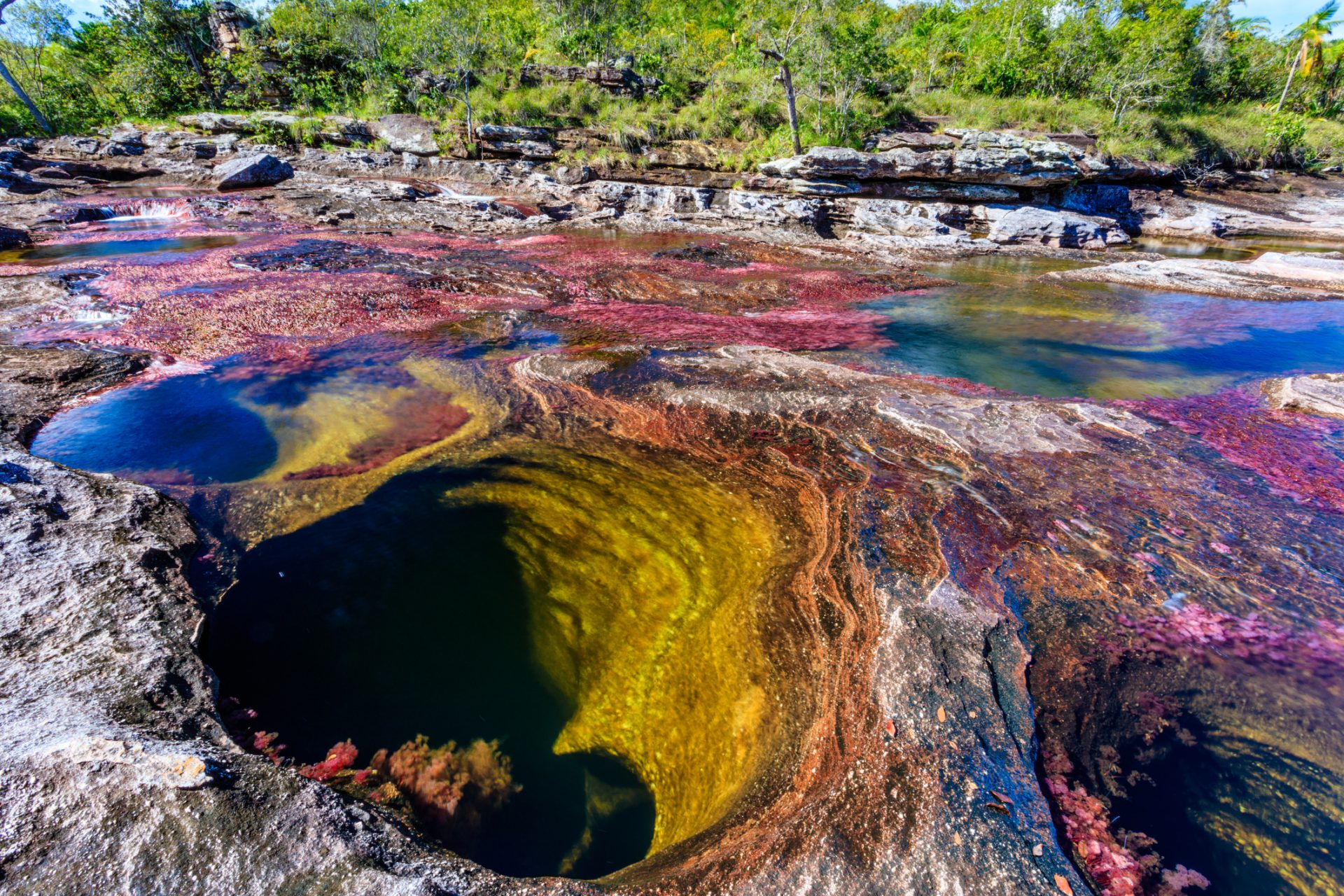 Caño Cristales (Colombia) 