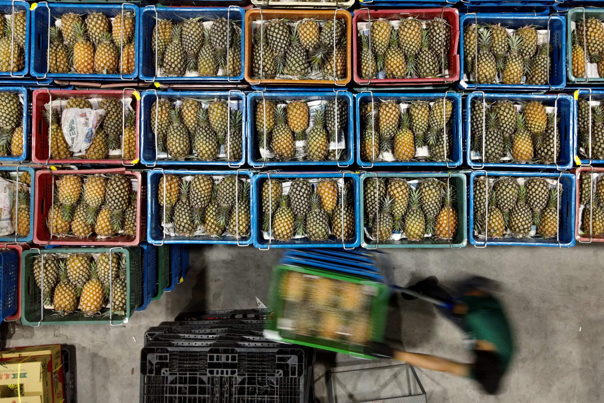 Tests inadéquats pour les ananas importés