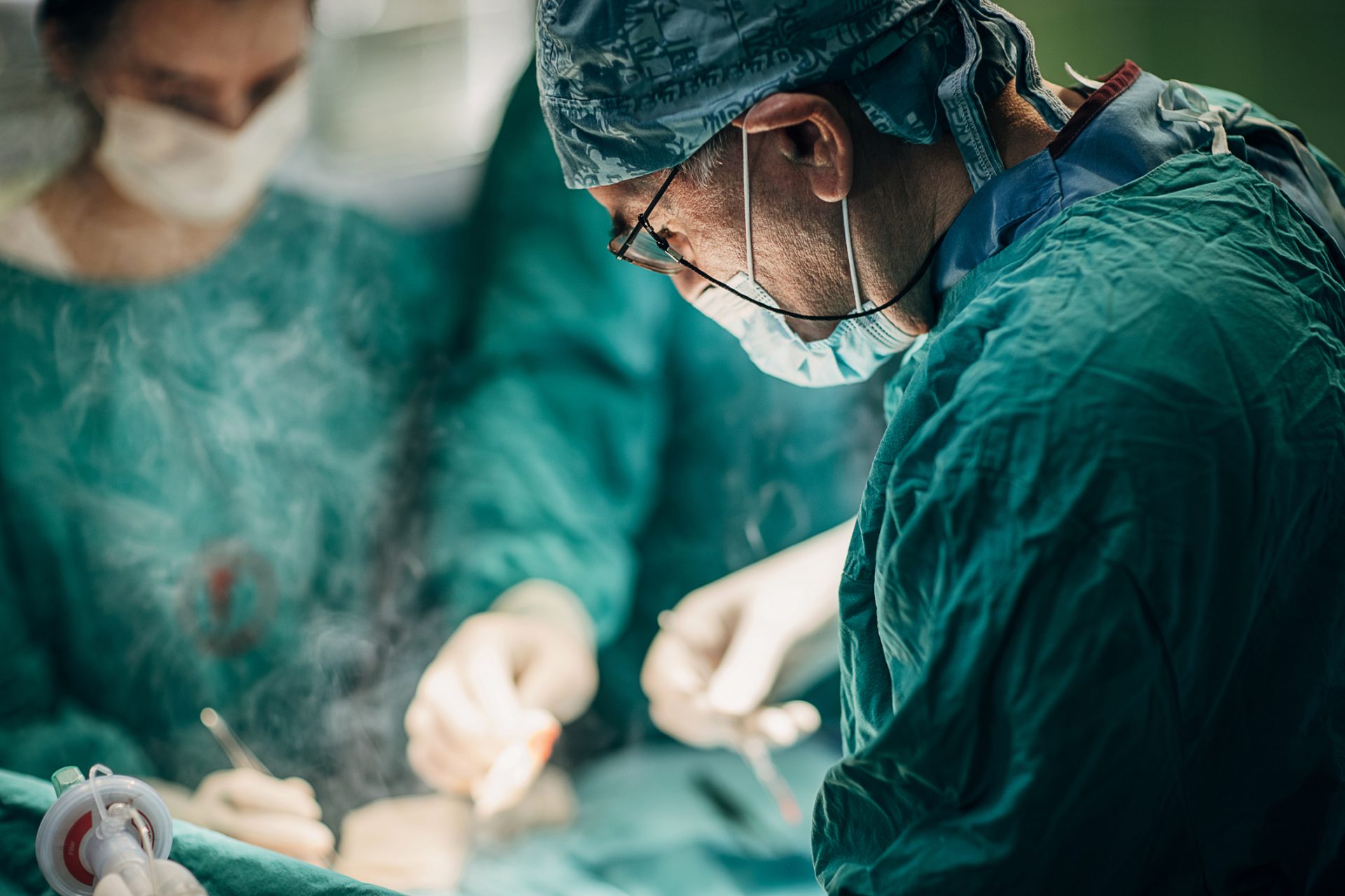 Surgeons successfully transplanted a kidney from a pig to a man