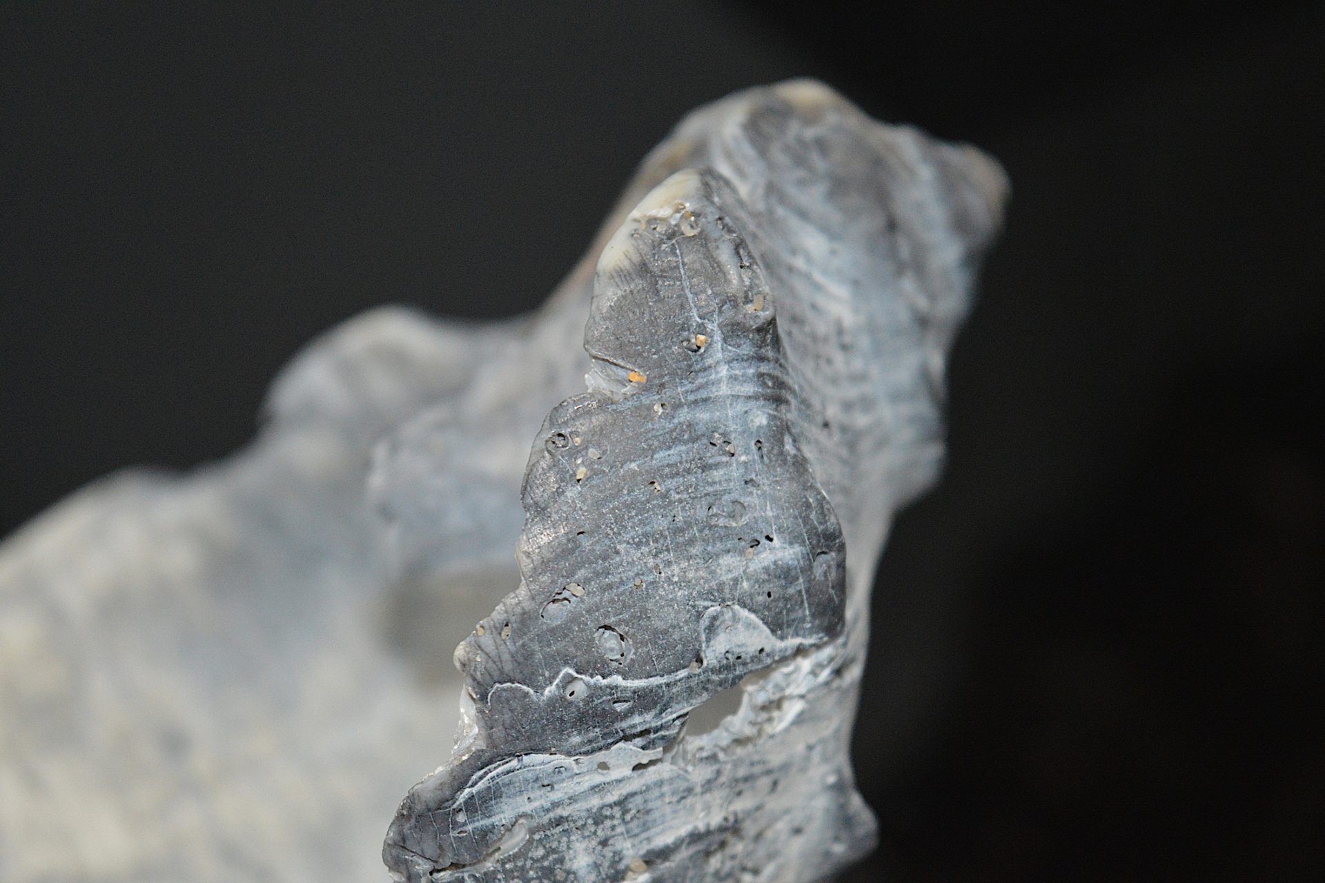 Des minéraux piégés dans les roches volcaniques