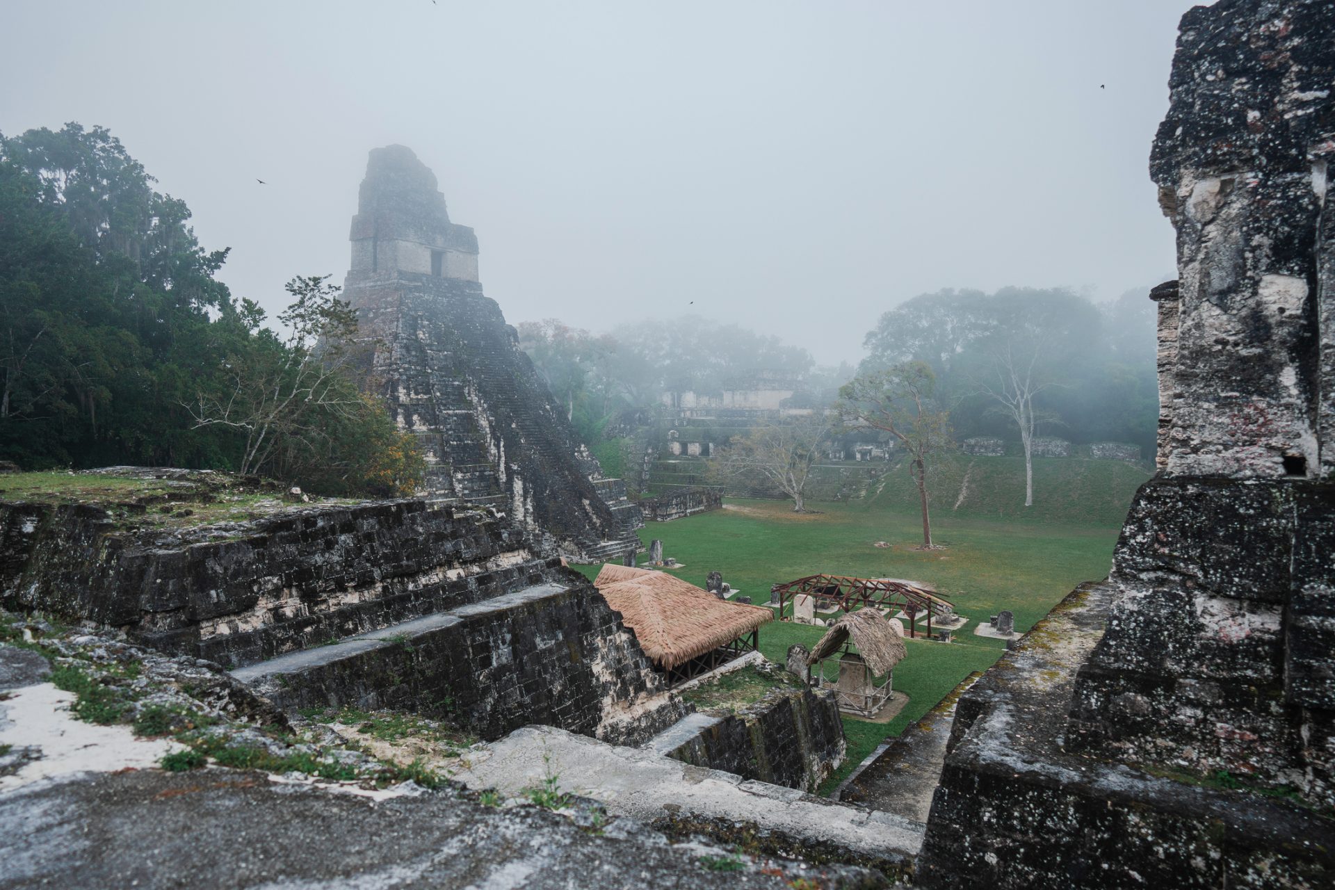 Les stèles de Tikal