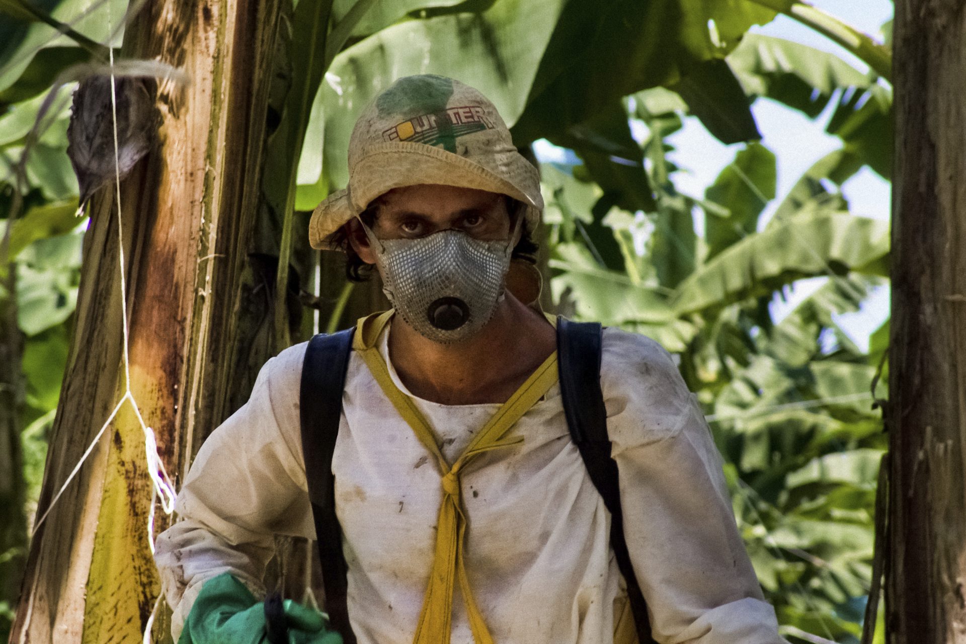 Le Costa Rica connaît de graves problèmes de contamination