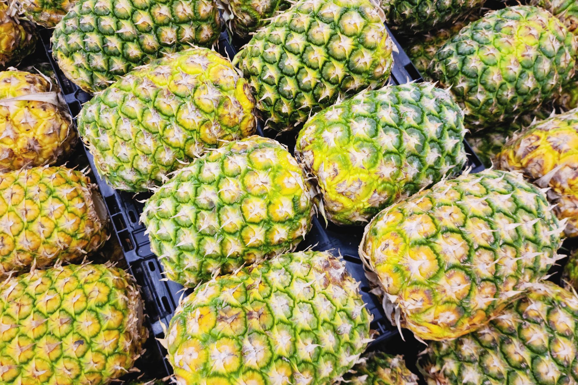 Des cancérogènes avérés sont utilisés sur les ananas au Costa Rica