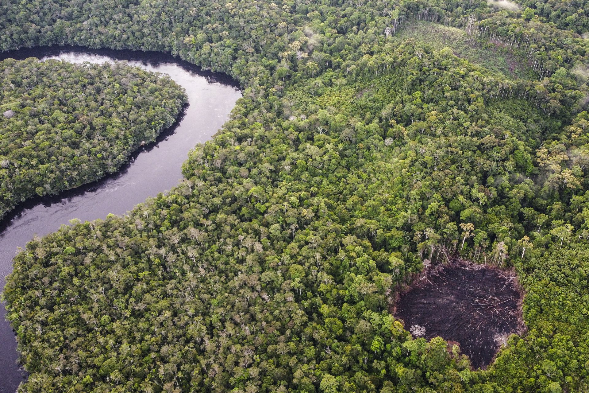 Ein Rückgang der Entwaldung auch in Kolumbien