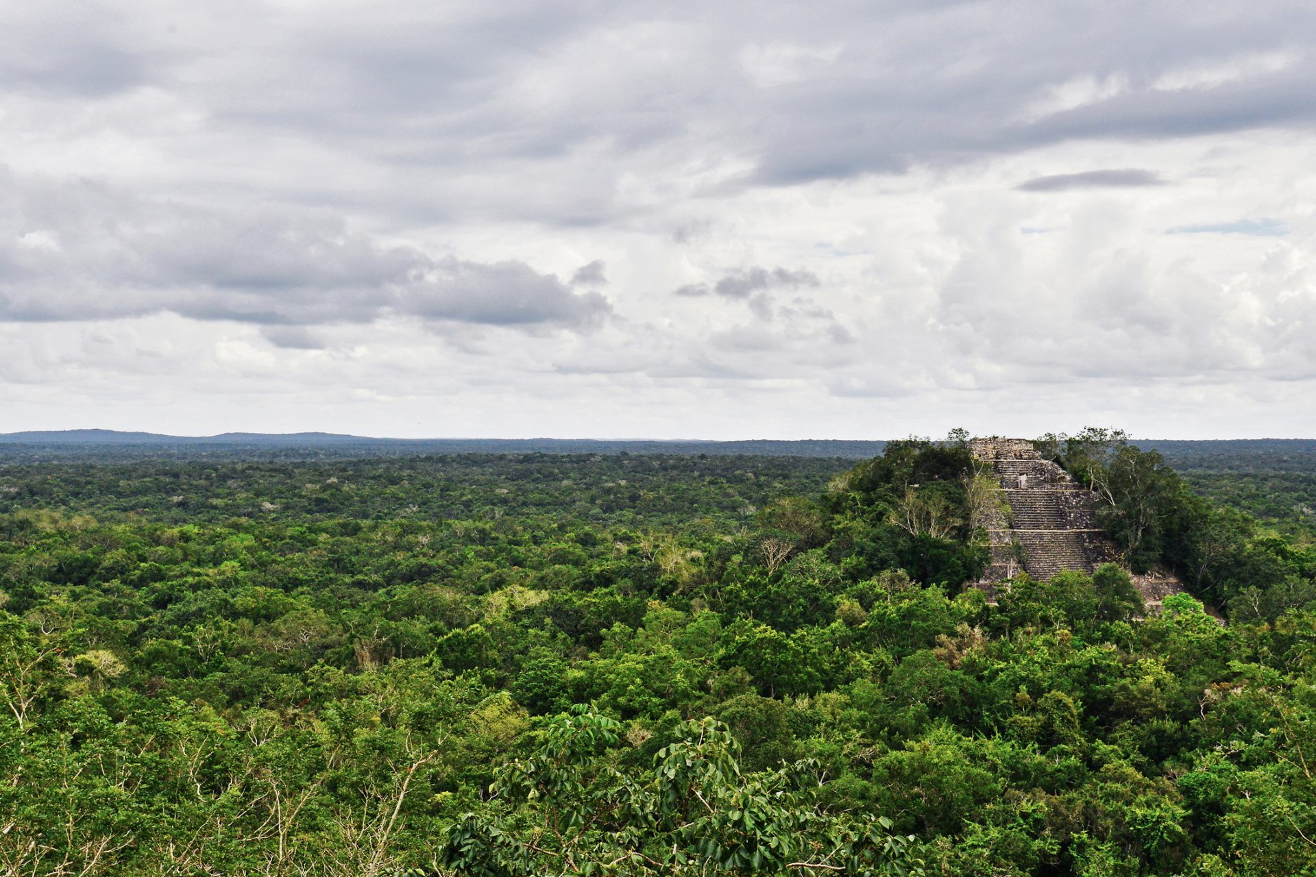 Reserva Calakmul: lar da onça