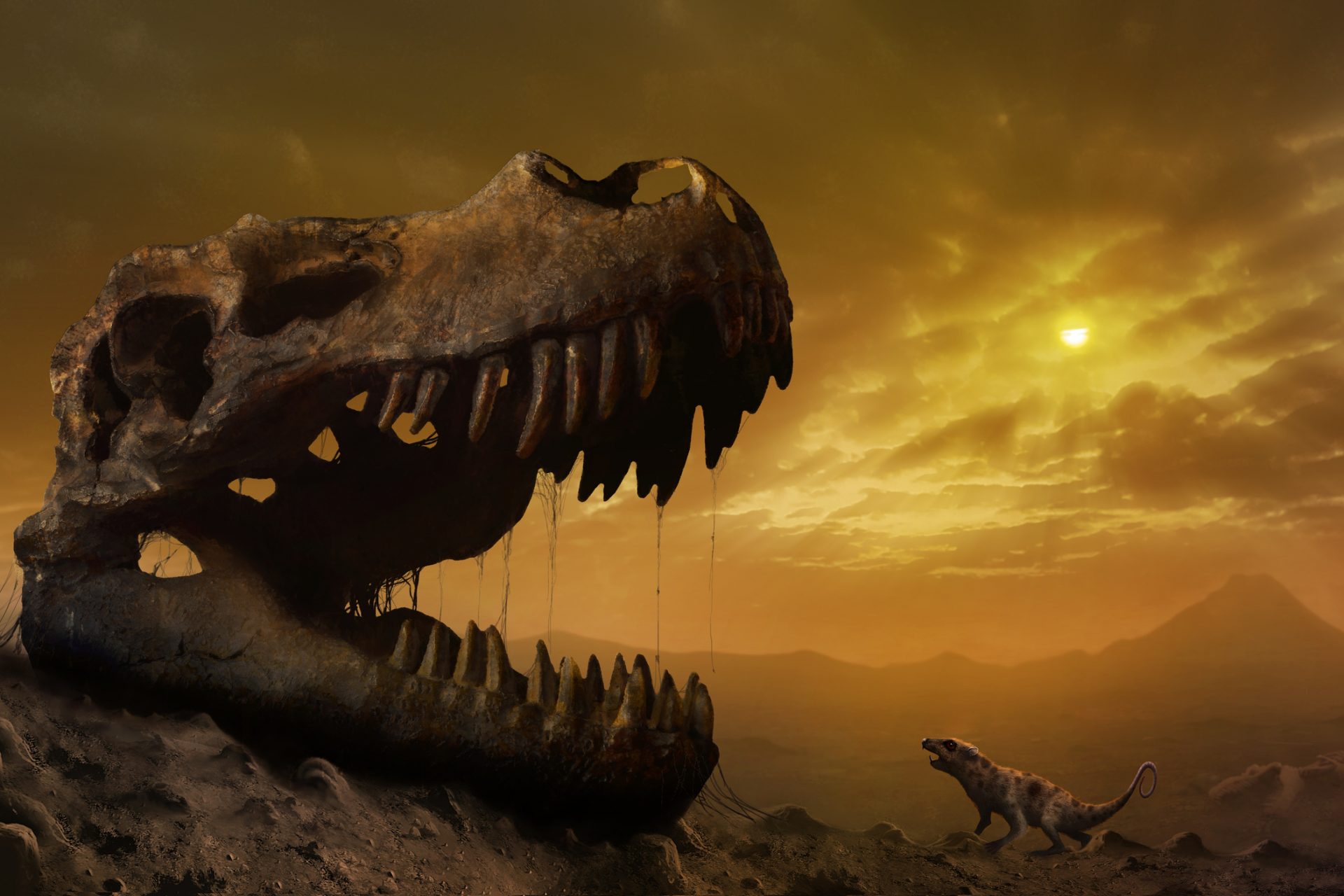 New study finds dinosaurs were doomed even if an asteroid didn’t hit Earth