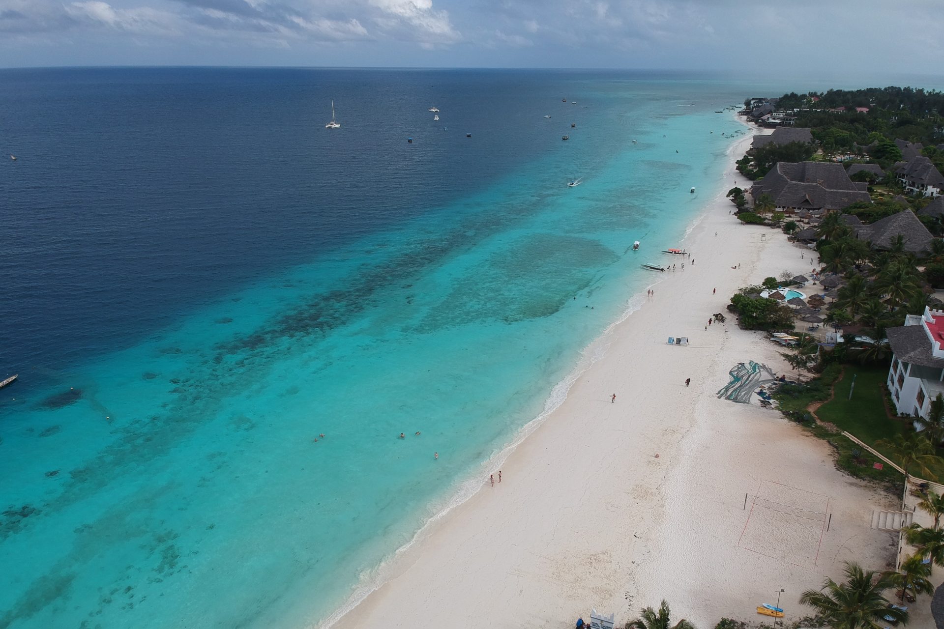 De Korte Strijd om Zanzibar (38-45 minuten)