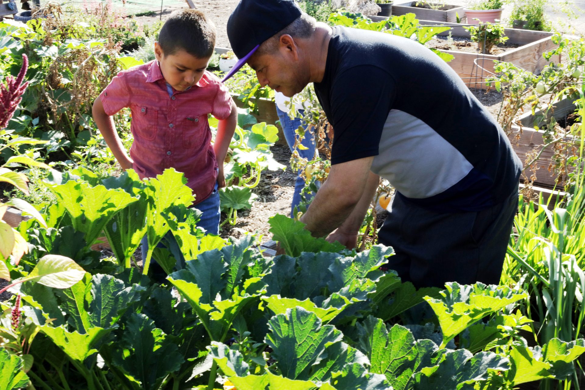 Your DNA influences your dietary inclinations