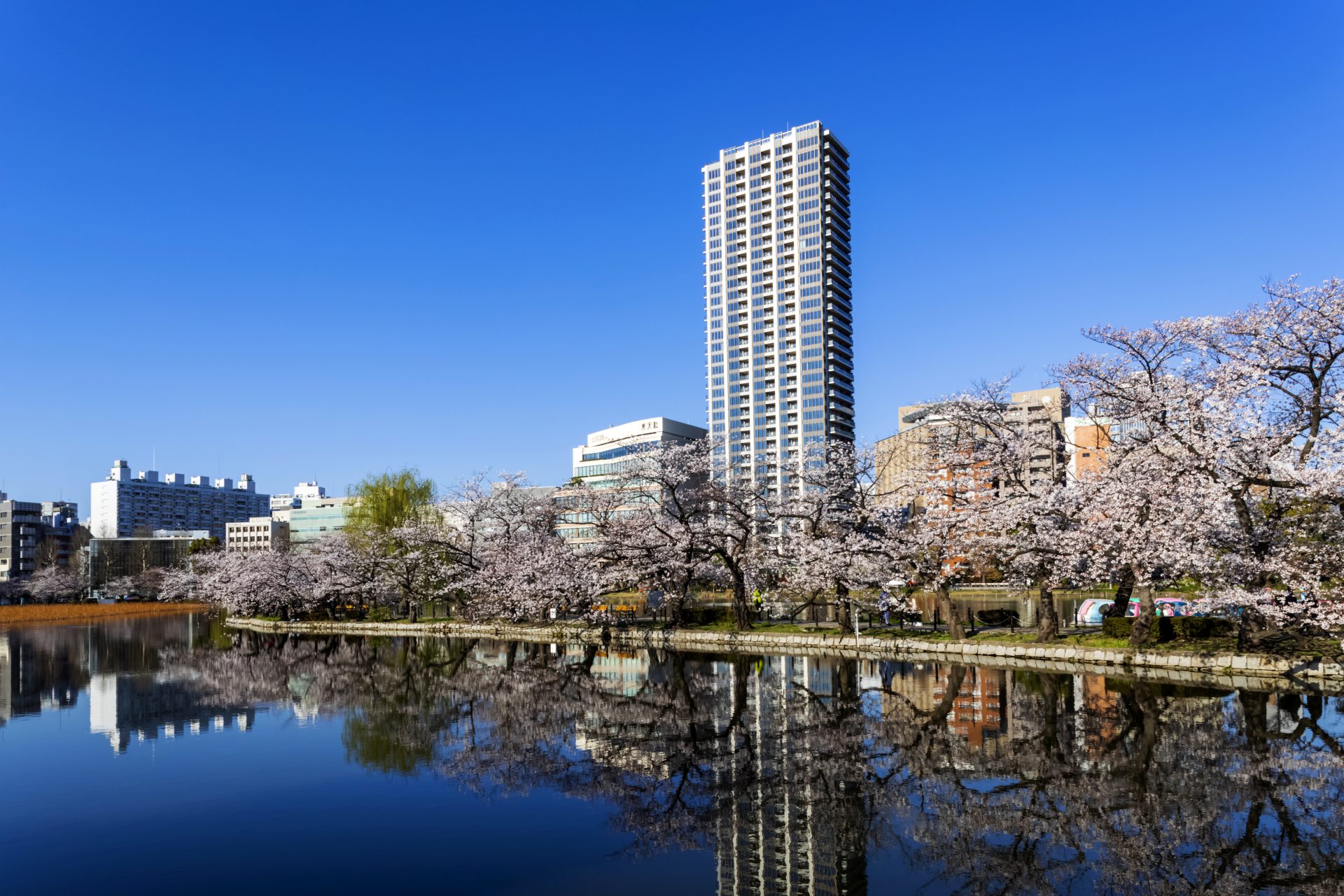 Tokio (Japan) 