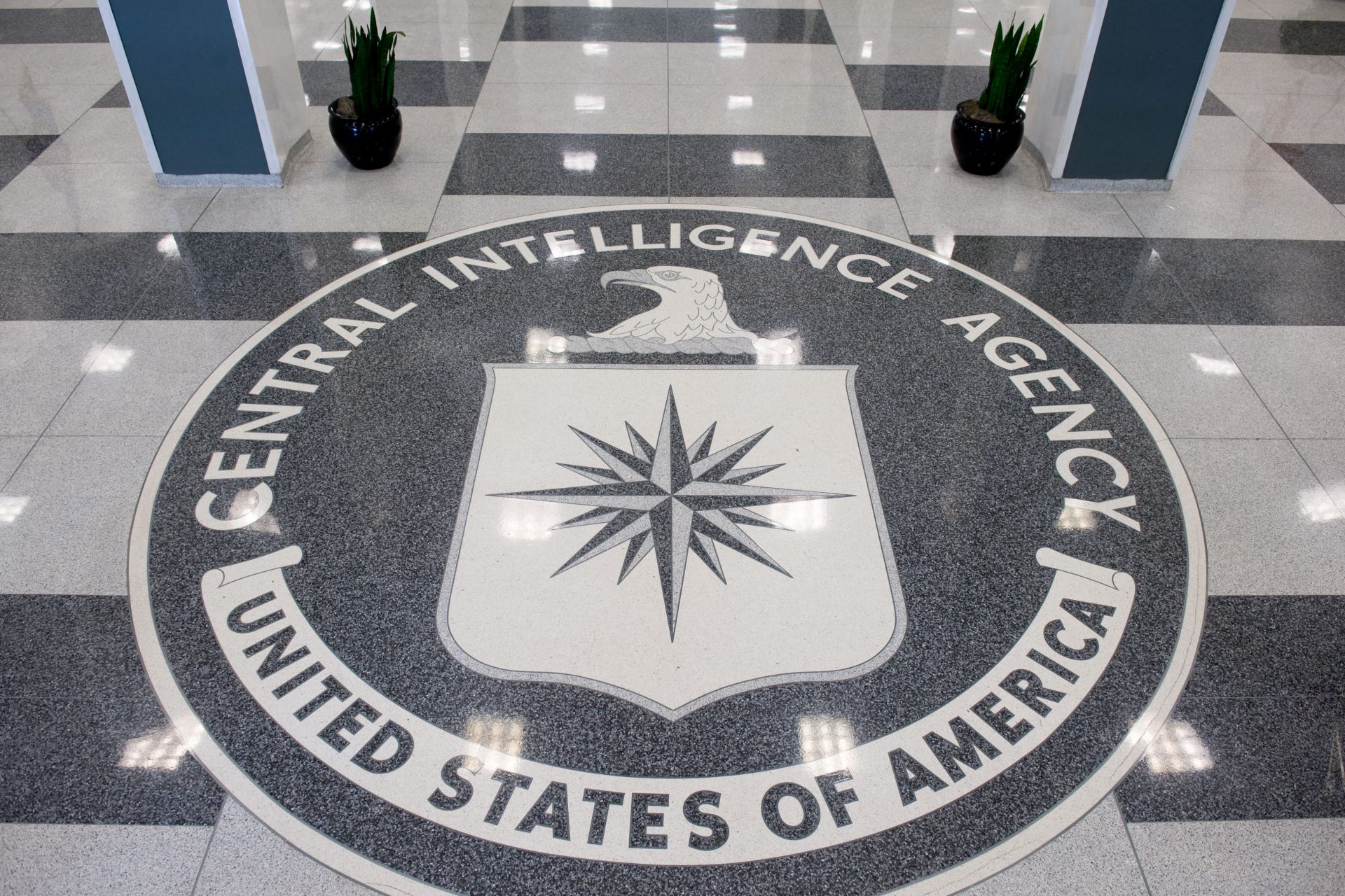 Step-by-Step Guide to Joining the CIA