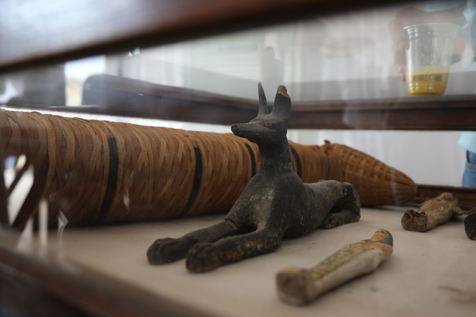 Animals in ancient Egyptian society 