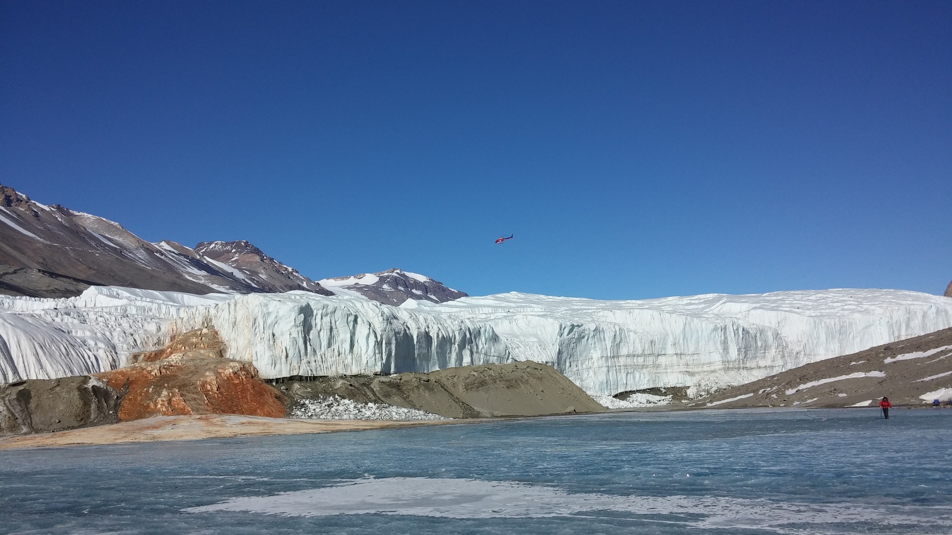 ¿Cómo sobreviven estos ecosistemas bajo el glaciar?