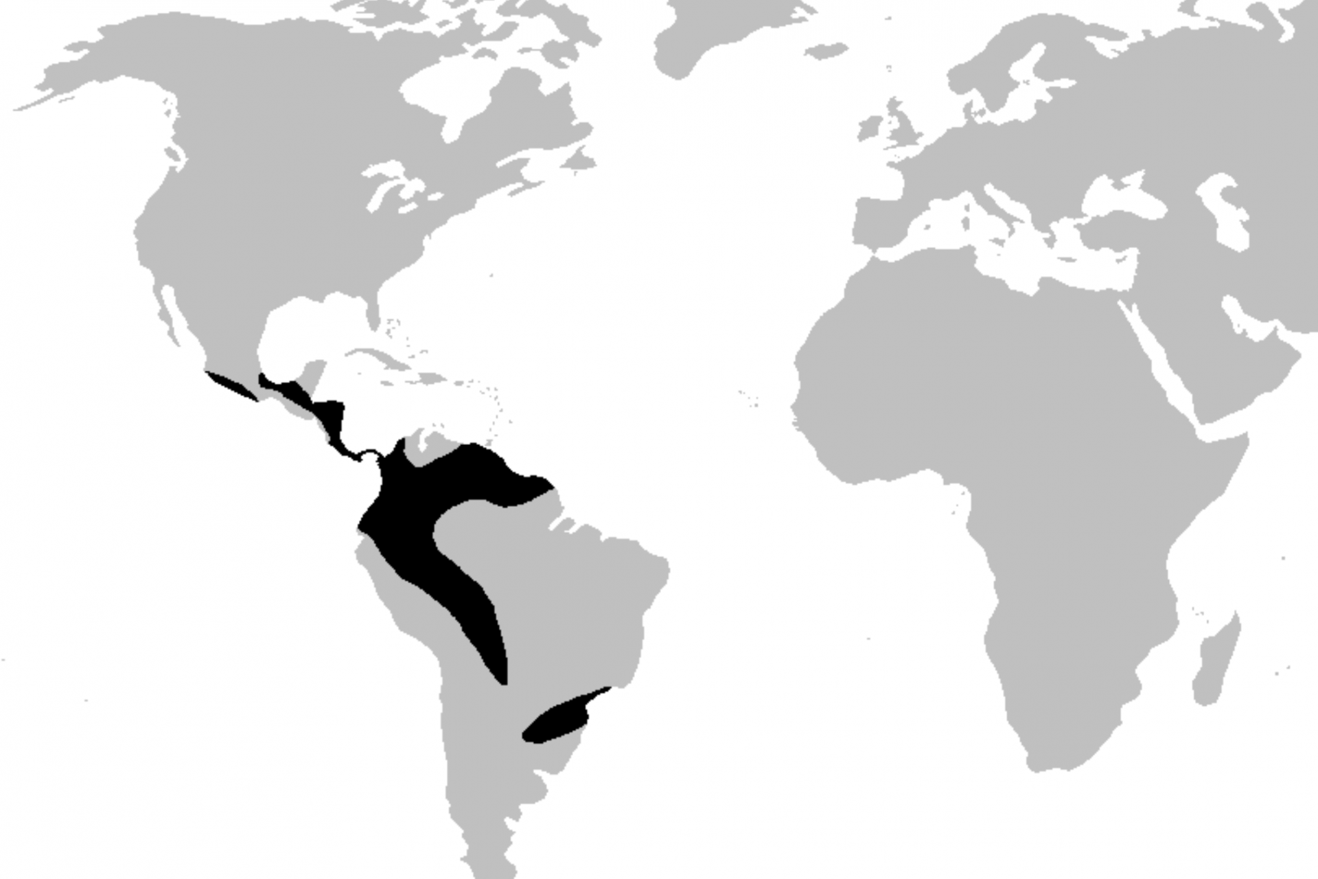 Une espèce présente en Amérique centrale