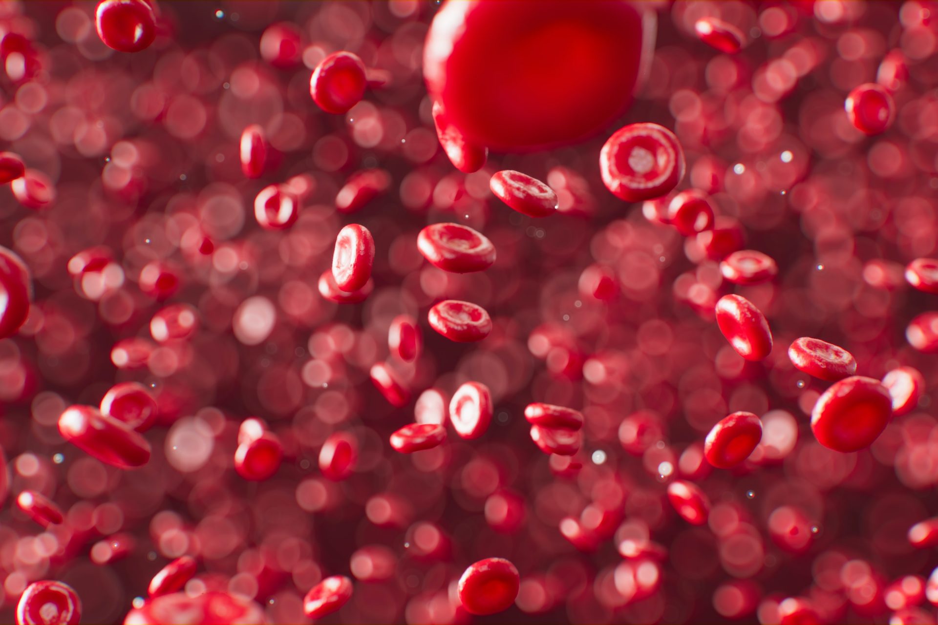 Red blood cells, hemoglobin, and heme