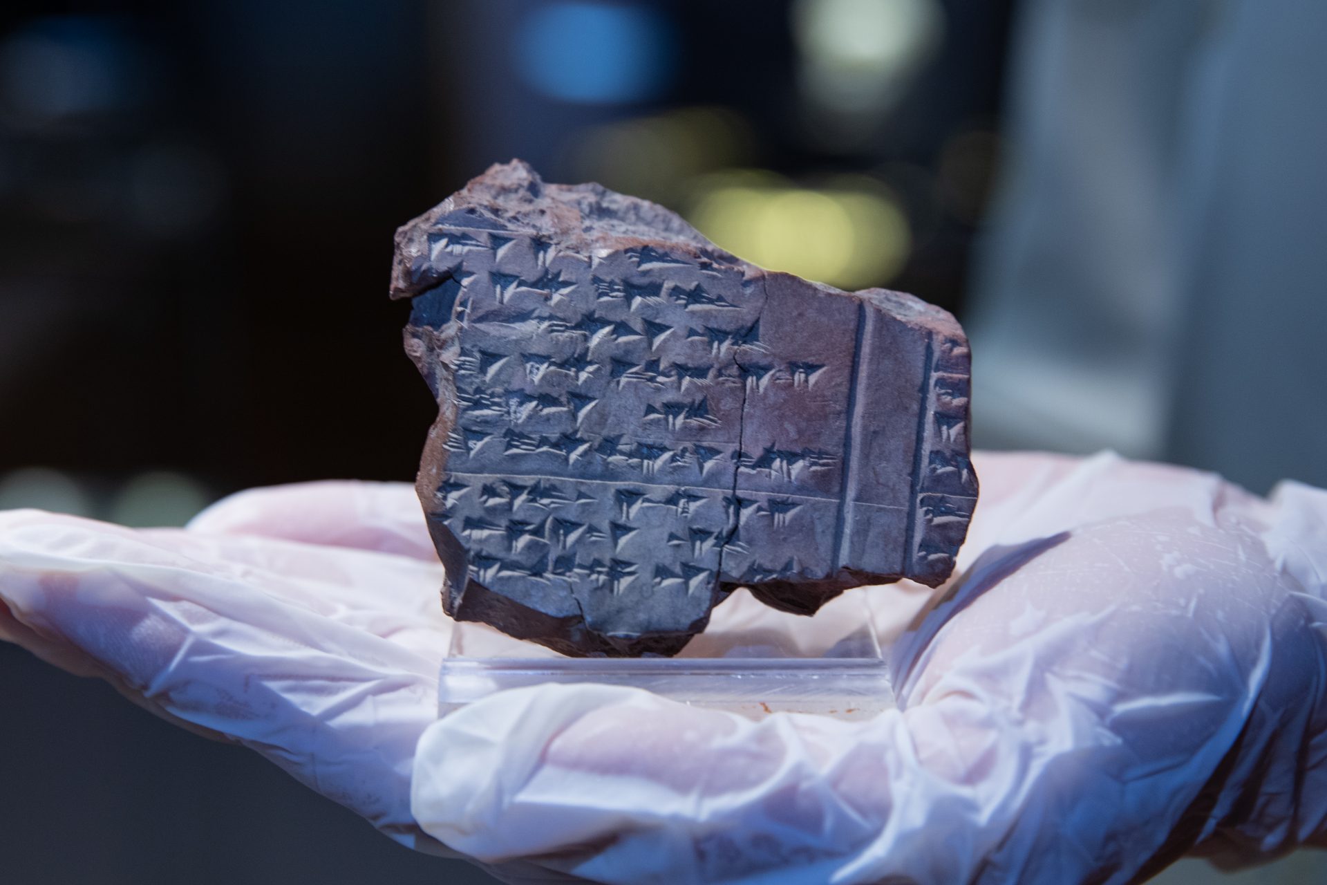 Archeologist finally reveal deciphered text of ancient civilization over 3000 years old